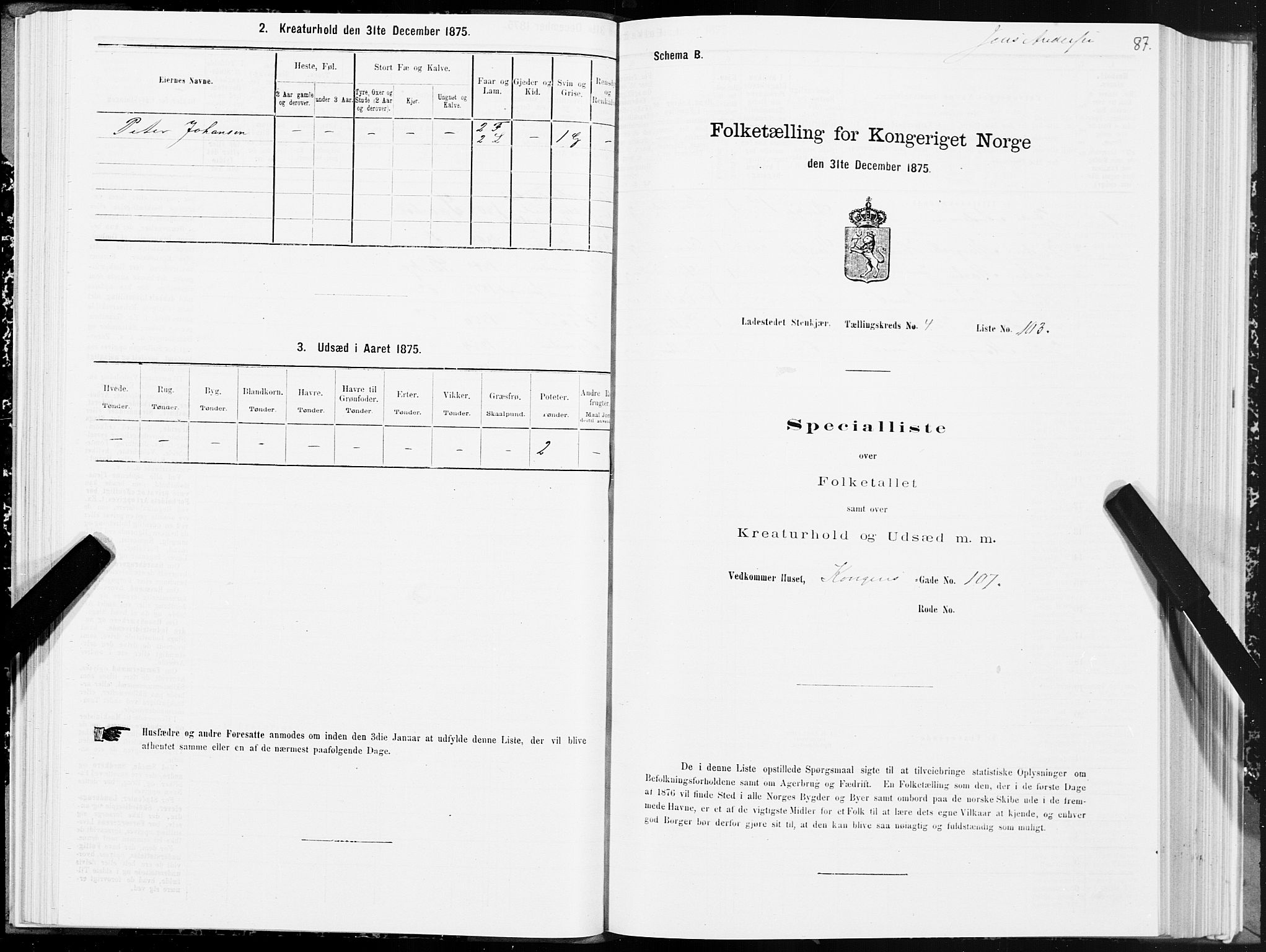 SAT, Folketelling 1875 for 1702B Steinkjer prestegjeld, Steinkjer ladested, 1875, s. 87