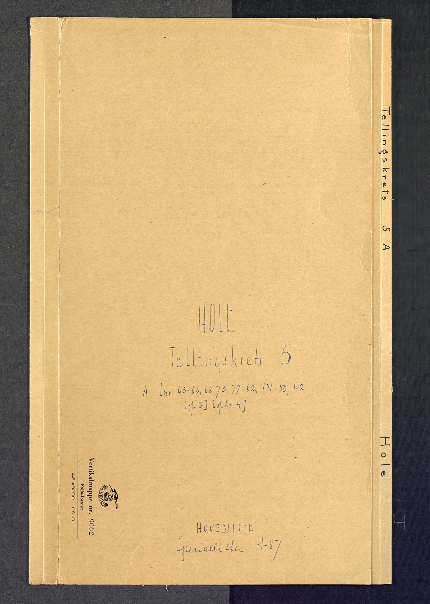 SAKO, Folketelling 1875 for 0612P Hole prestegjeld, 1875, s. 24