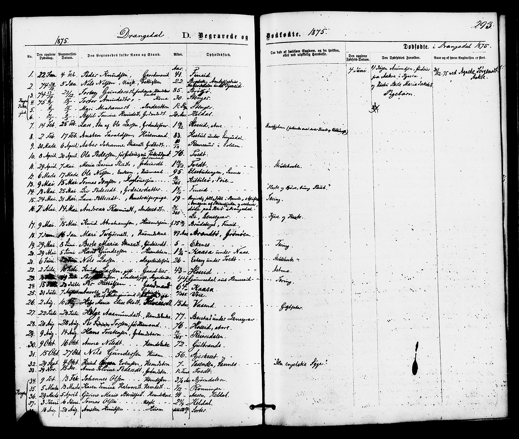 Drangedal kirkebøker, AV/SAKO-A-258/F/Fa/L0009: Ministerialbok nr. 9 /1, 1872-1884, s. 293