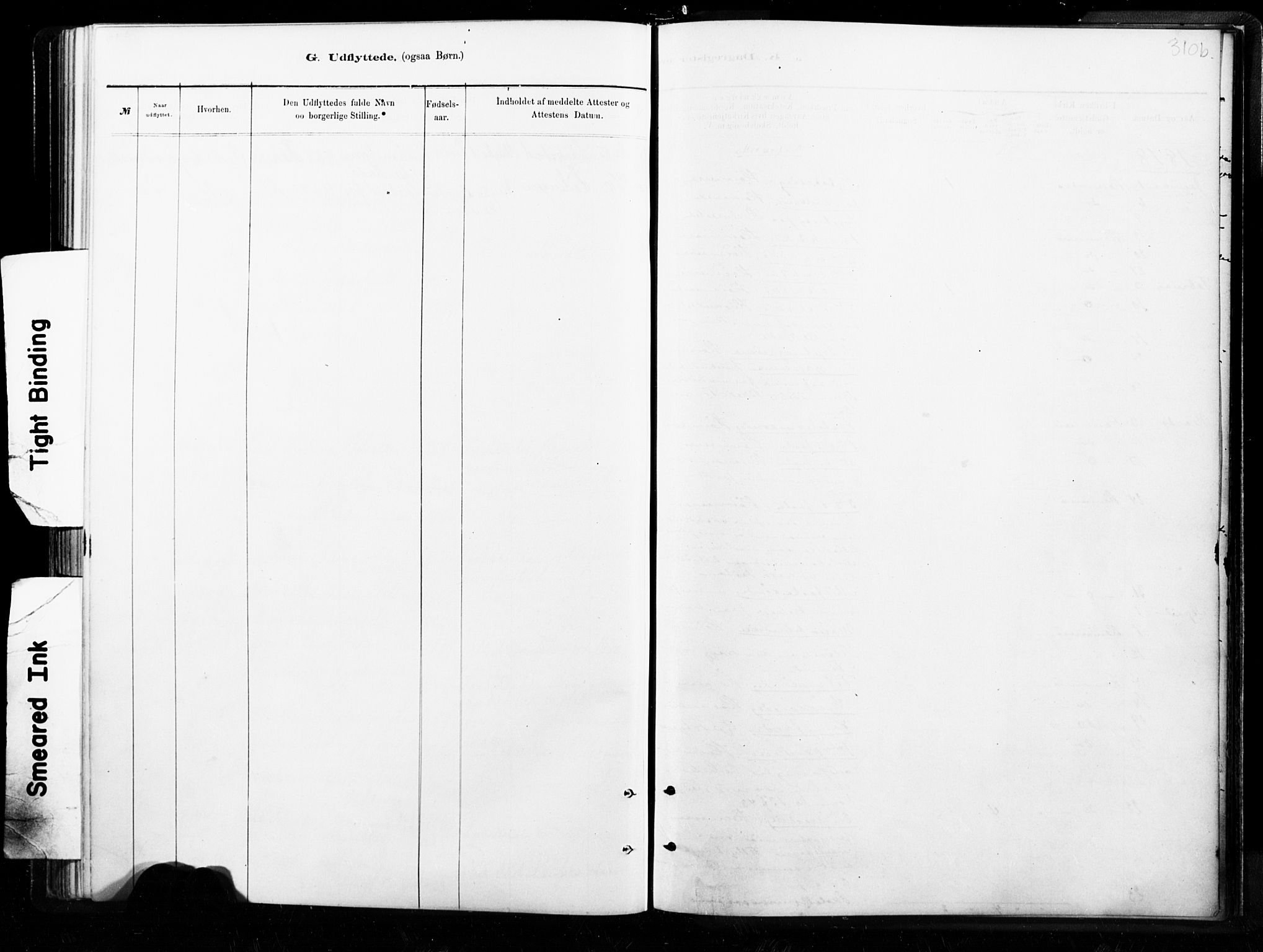 Ministerialprotokoller, klokkerbøker og fødselsregistre - Nordland, AV/SAT-A-1459/859/L0846: Ministerialbok nr. 859A06, 1878-1889, s. 310b