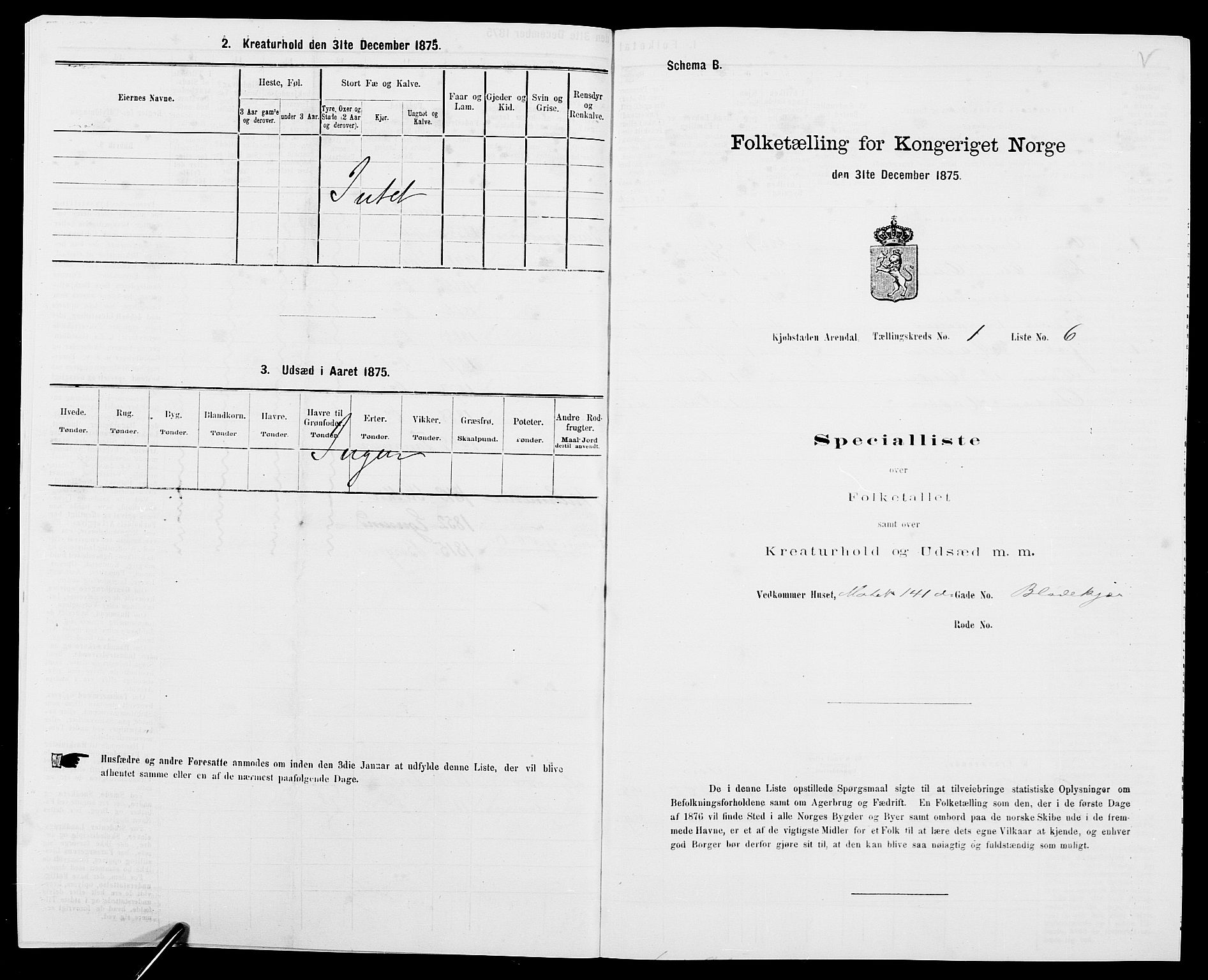 SAK, Folketelling 1875 for 0903P Arendal prestegjeld, 1875, s. 21
