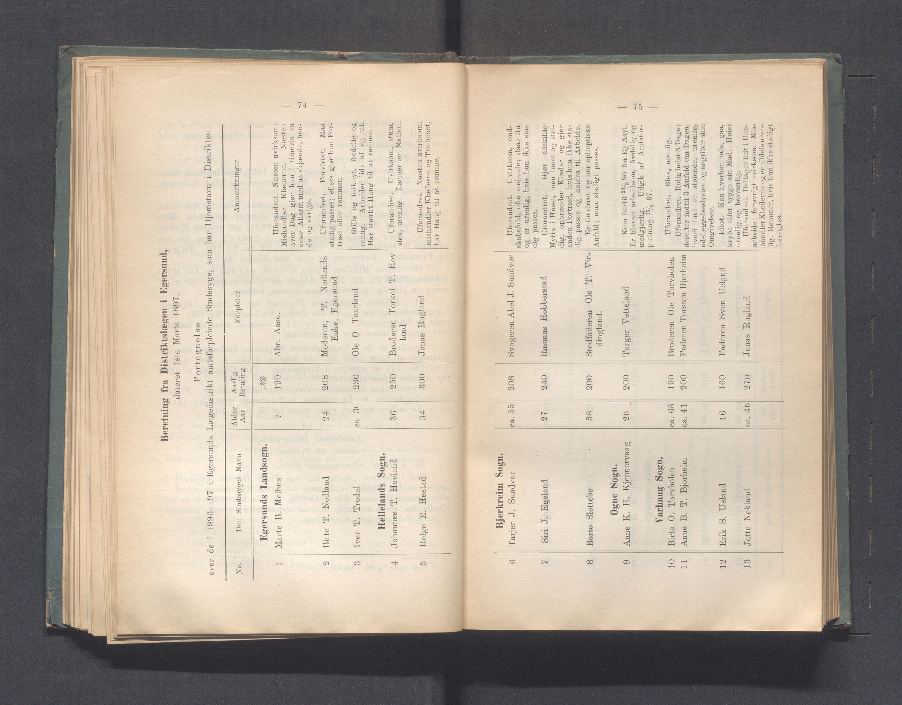 Rogaland fylkeskommune - Fylkesrådmannen , IKAR/A-900/A, 1897, s. 91