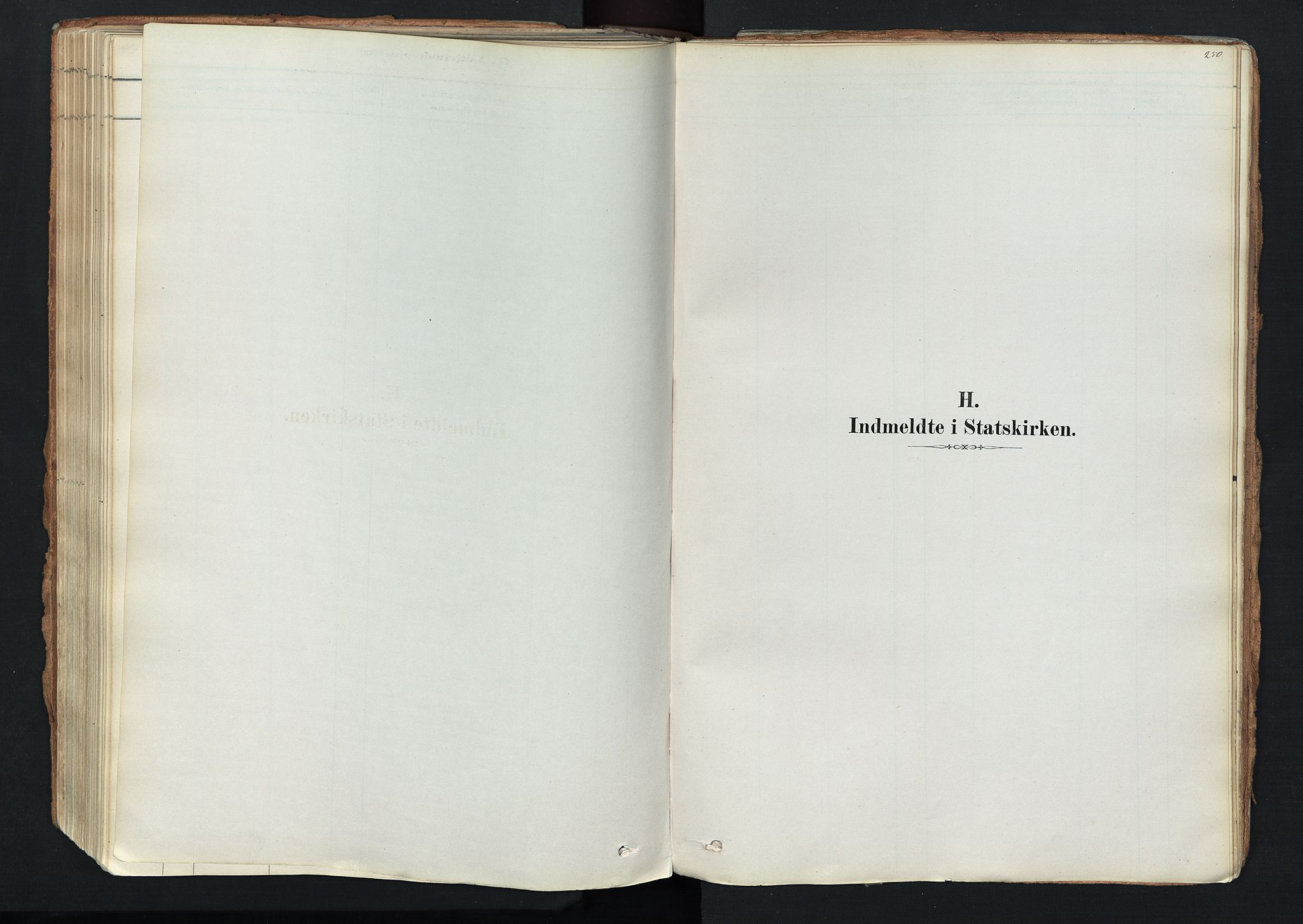 Trysil prestekontor, AV/SAH-PREST-046/H/Ha/Haa/L0011: Ministerialbok nr. 11, 1878-1912, s. 250