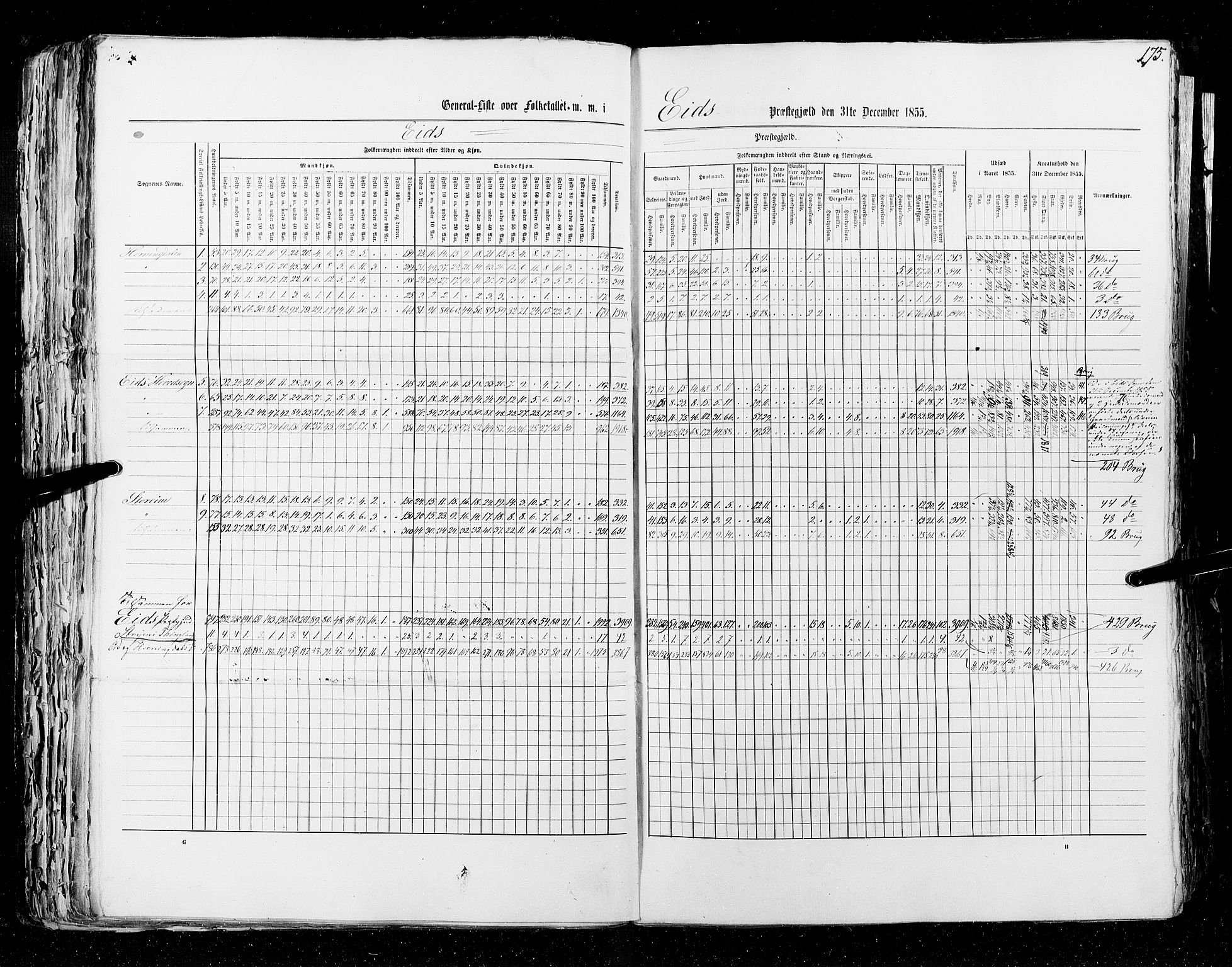 RA, Folketellingen 1855, bind 5: Nordre Bergenhus amt, Romsdal amt og Søndre Trondhjem amt, 1855, s. 175