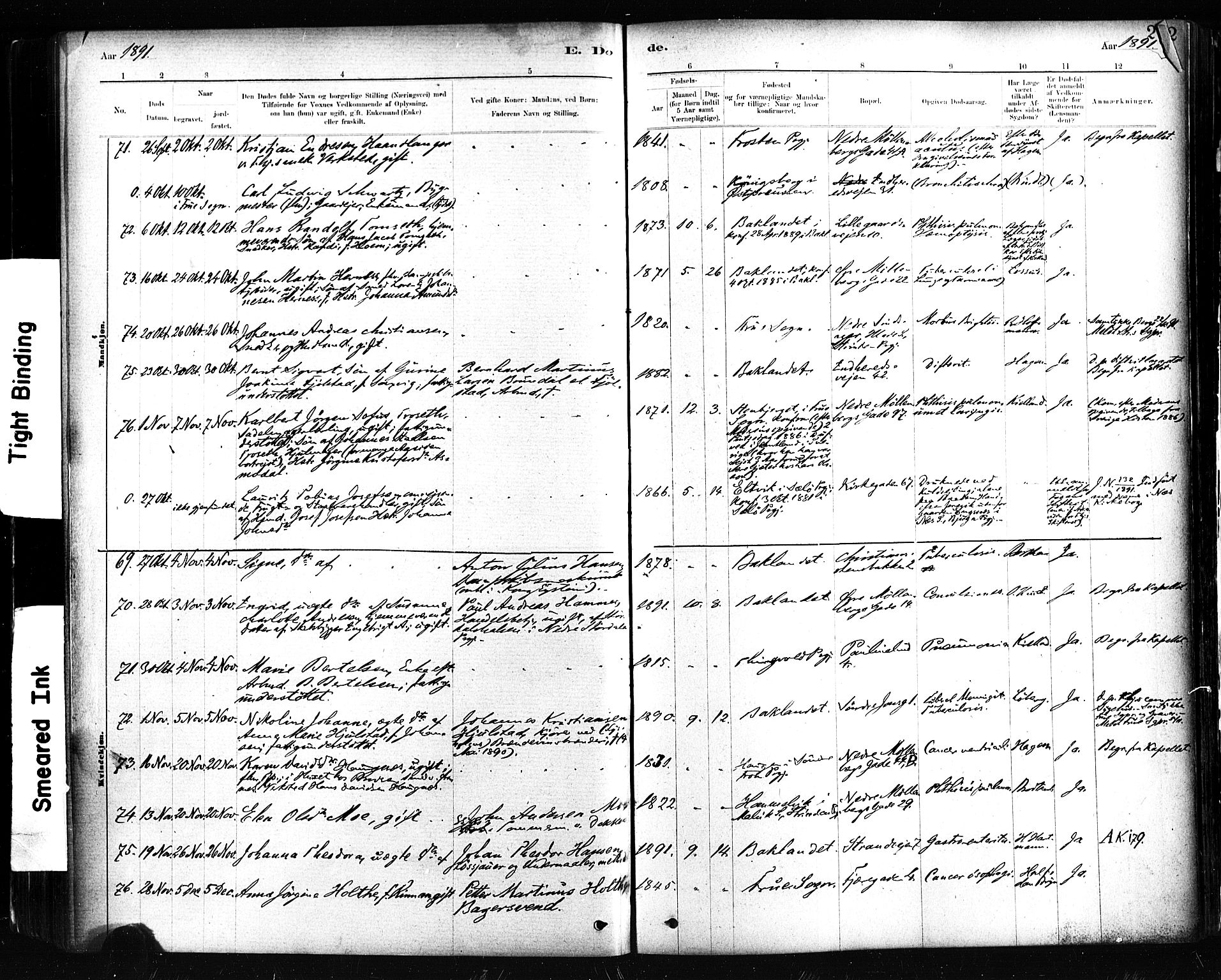 Ministerialprotokoller, klokkerbøker og fødselsregistre - Sør-Trøndelag, SAT/A-1456/604/L0189: Ministerialbok nr. 604A10, 1878-1892, s. 291