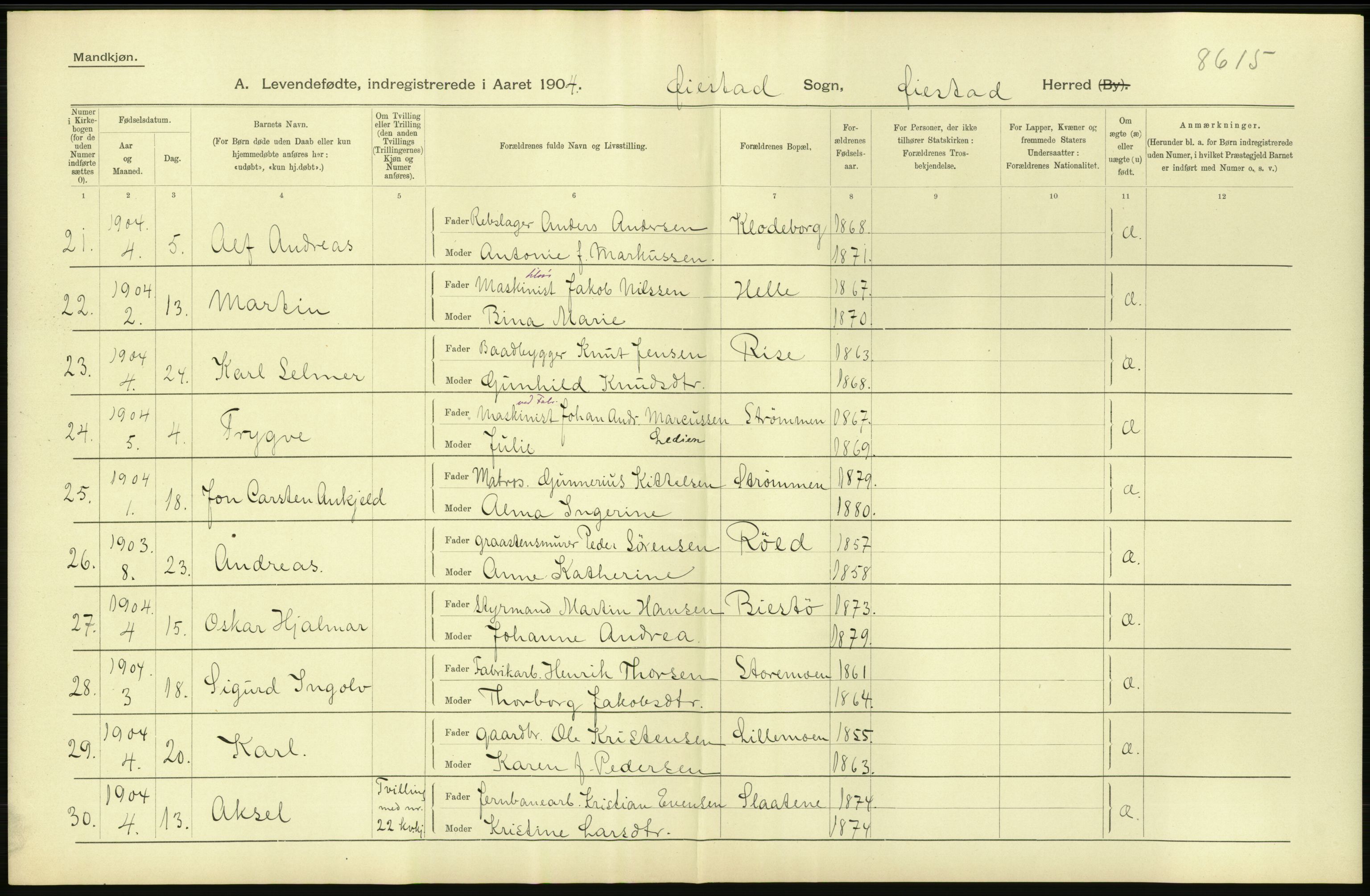 Statistisk sentralbyrå, Sosiodemografiske emner, Befolkning, AV/RA-S-2228/D/Df/Dfa/Dfab/L0010: Nedenes amt: Fødte, gifte, døde, 1904, s. 8