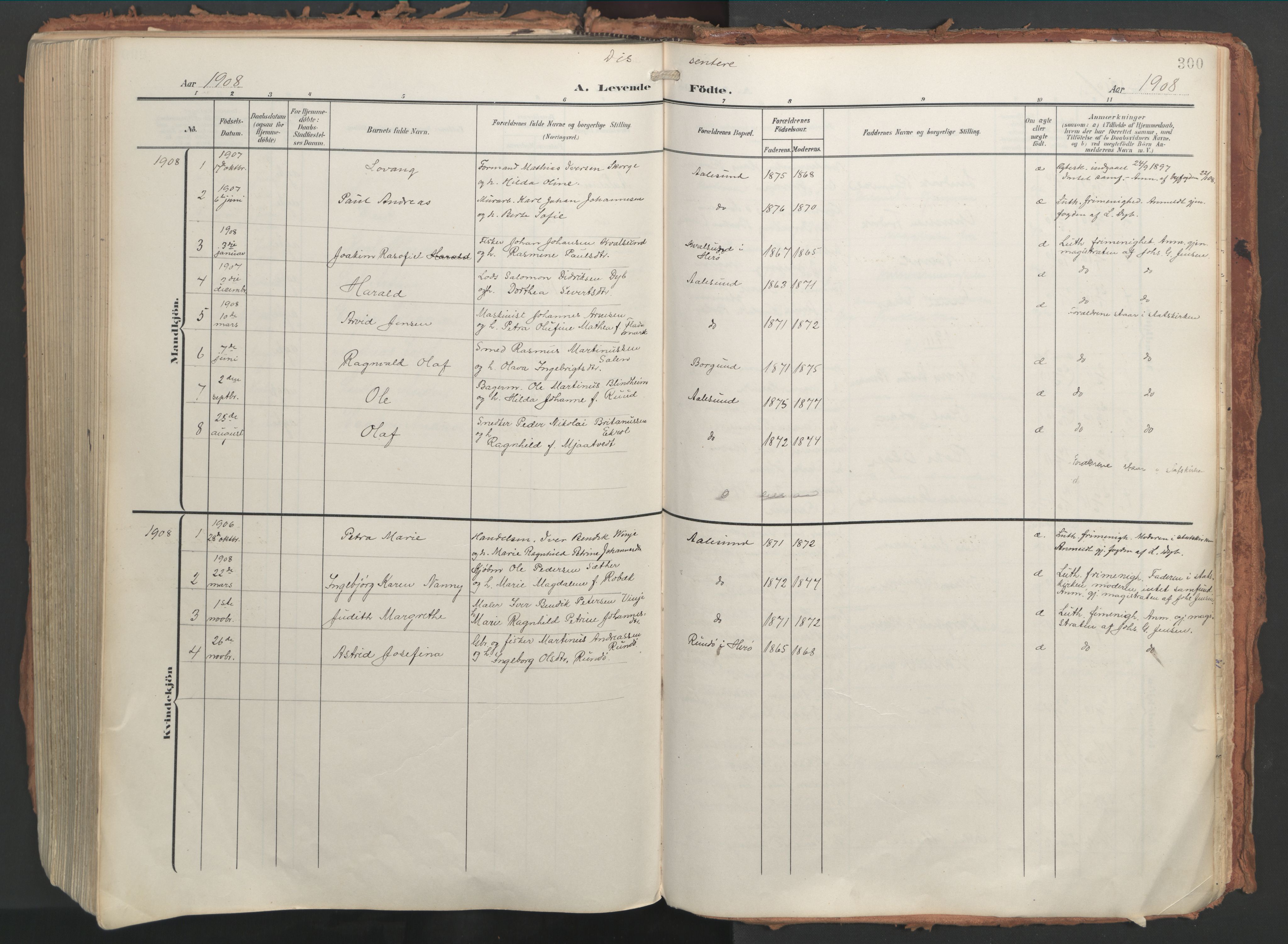 Ministerialprotokoller, klokkerbøker og fødselsregistre - Møre og Romsdal, AV/SAT-A-1454/529/L0460: Ministerialbok nr. 529A10, 1906-1917, s. 300