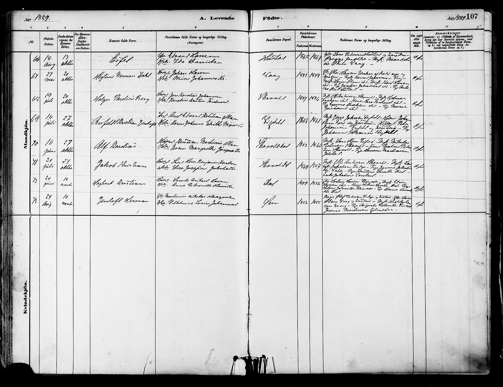 Ministerialprotokoller, klokkerbøker og fødselsregistre - Nordland, AV/SAT-A-1459/805/L0099: Ministerialbok nr. 805A06, 1880-1891, s. 107