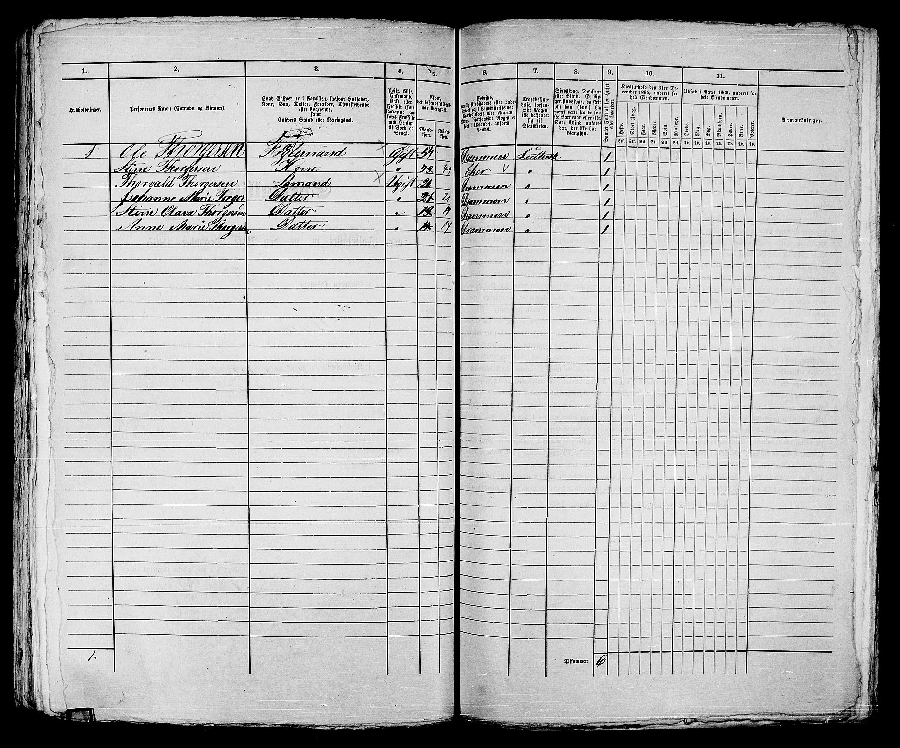 RA, Folketelling 1865 for 0602bP Strømsø prestegjeld i Drammen kjøpstad, 1865, s. 316