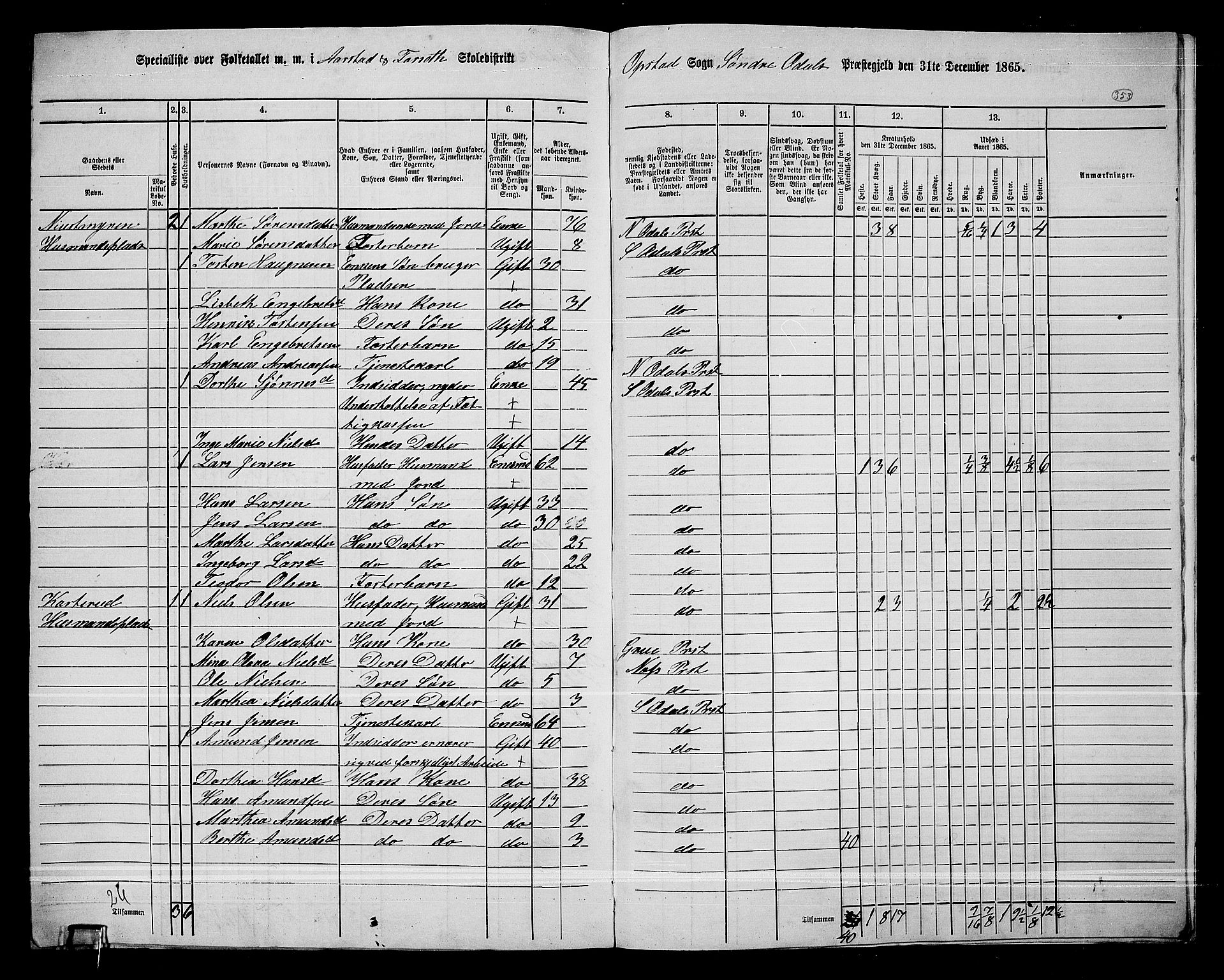 RA, Folketelling 1865 for 0419P Sør-Odal prestegjeld, 1865, s. 312