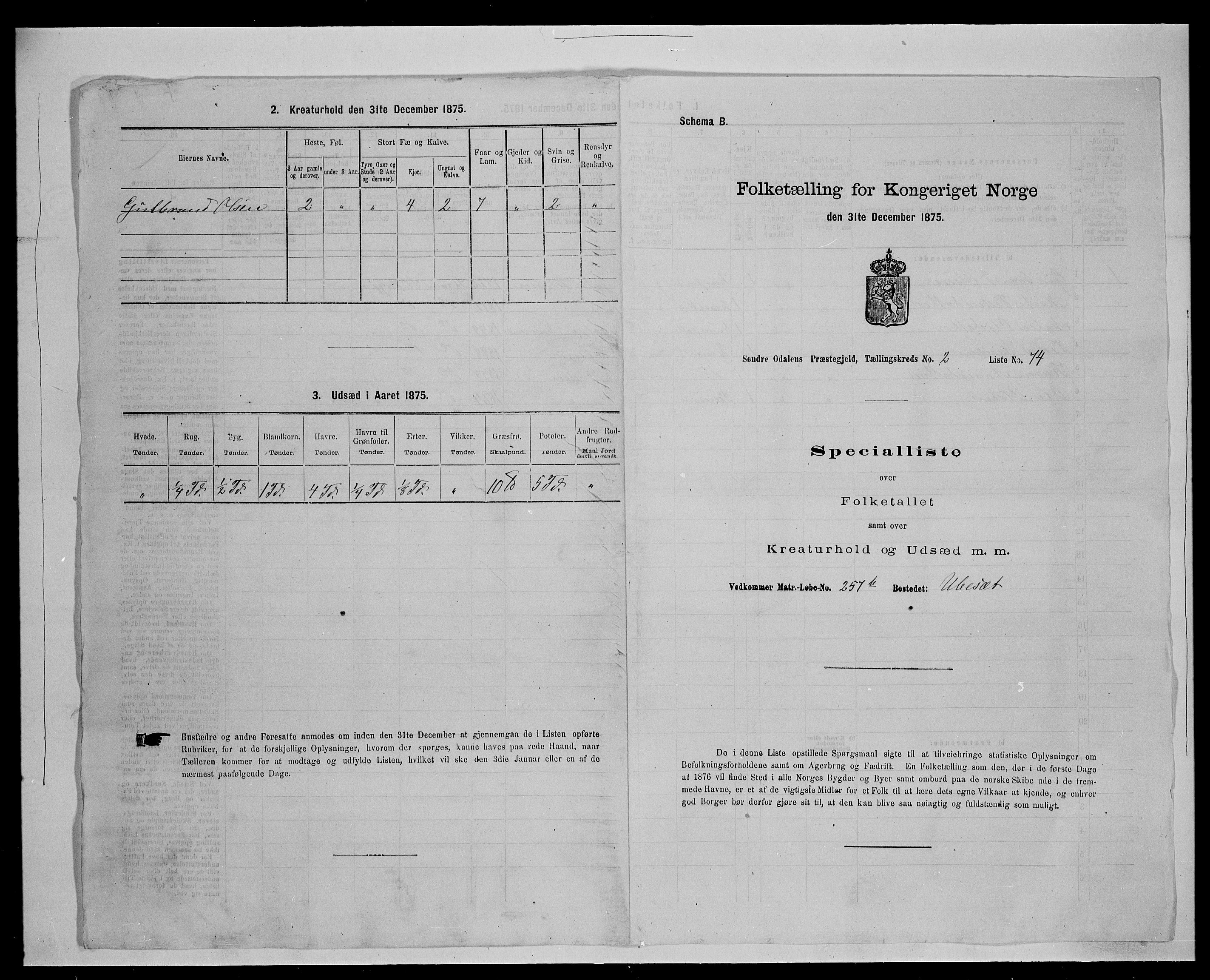 SAH, Folketelling 1875 for 0419P Sør-Odal prestegjeld, 1875, s. 376