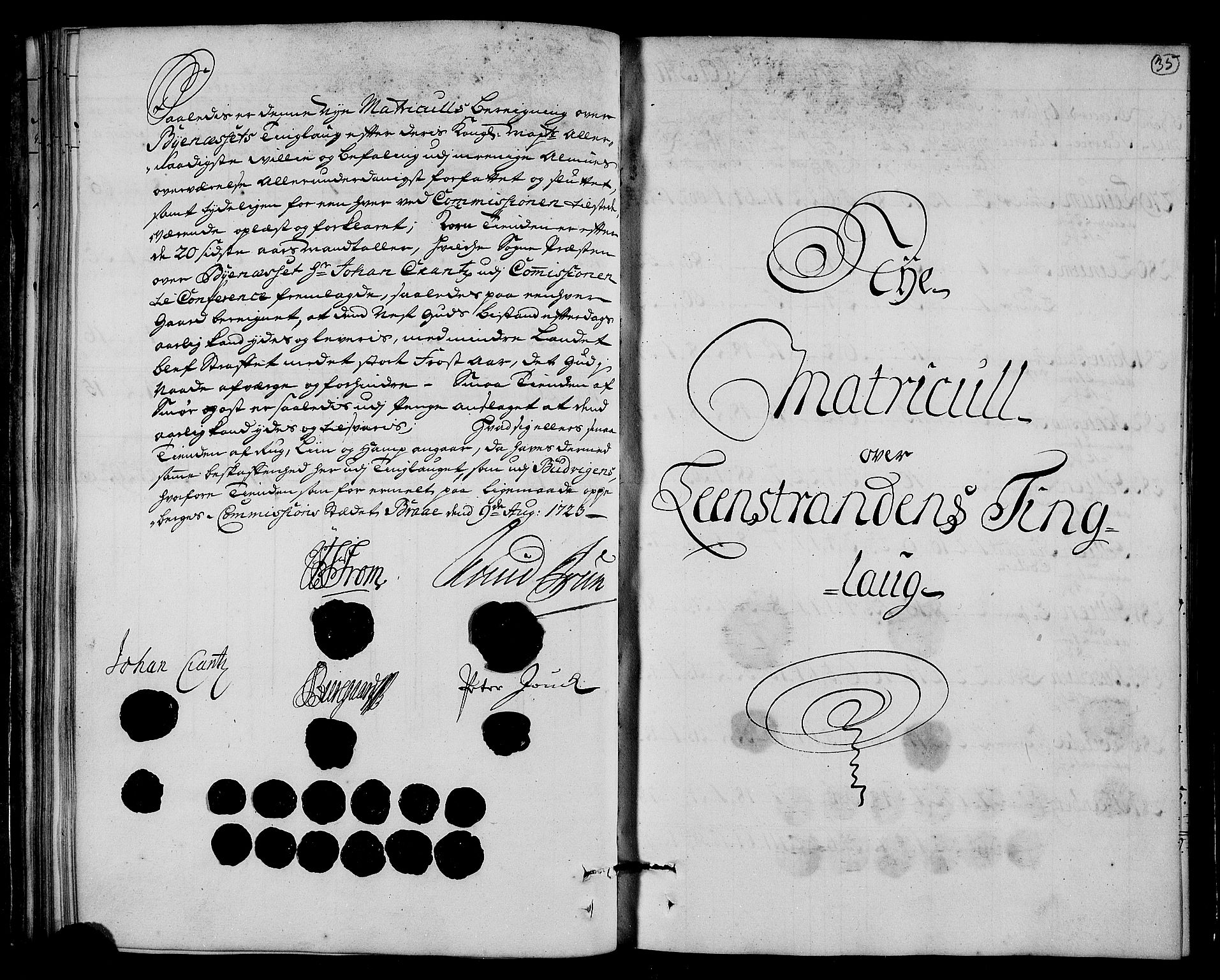 Rentekammeret inntil 1814, Realistisk ordnet avdeling, AV/RA-EA-4070/N/Nb/Nbf/L0161: Strinda og Selbu matrikkelprotokoll, 1723, s. 37