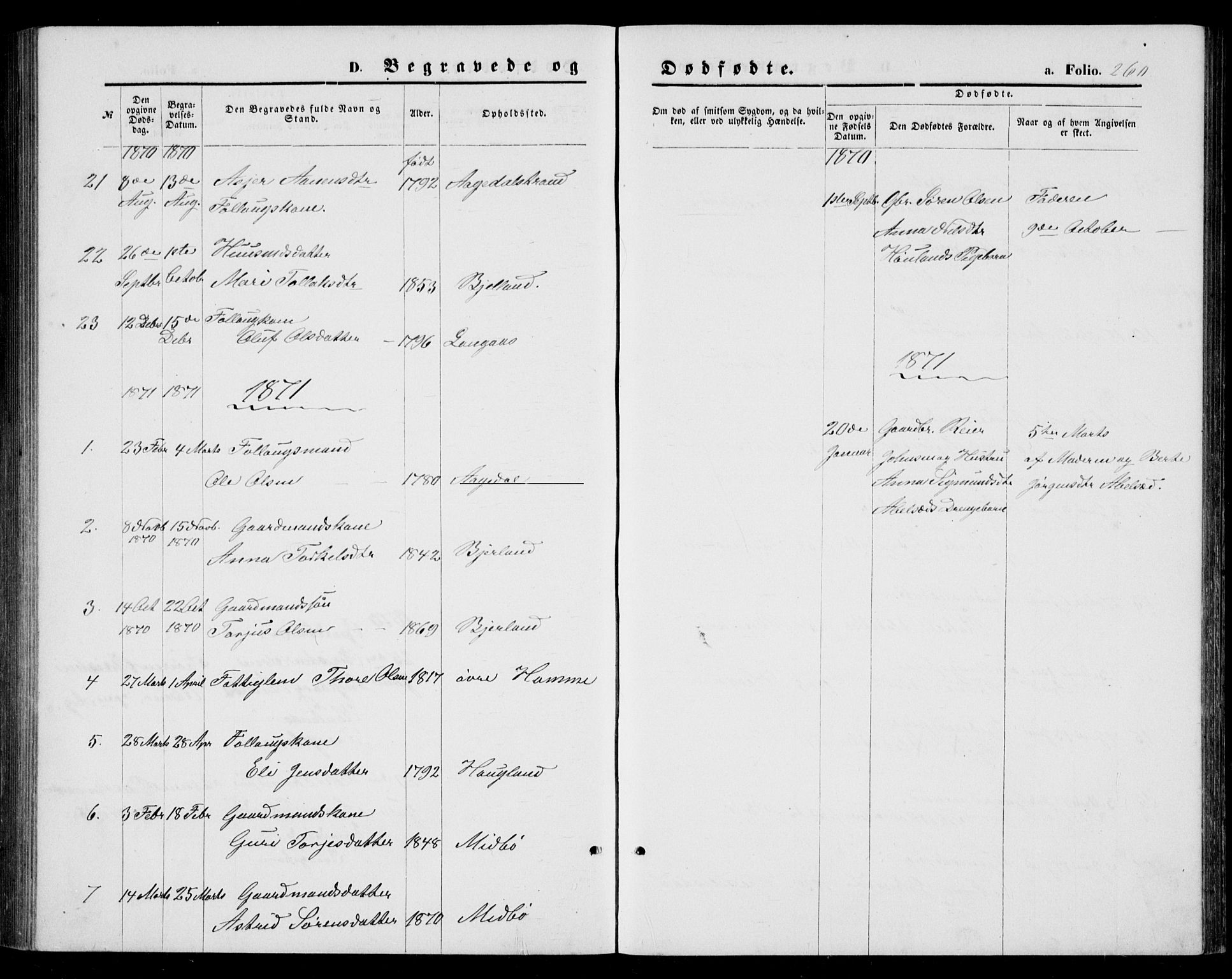 Bjelland sokneprestkontor, SAK/1111-0005/F/Fb/Fba/L0004: Klokkerbok nr. B 4, 1869-1886, s. 260