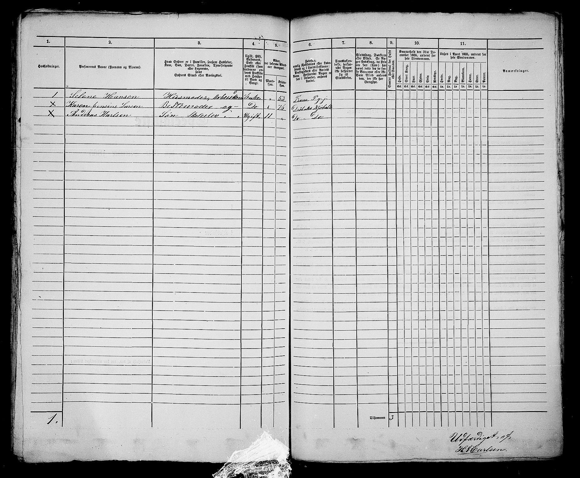 RA, Folketelling 1865 for 0203B Drøbak prestegjeld, Drøbak kjøpstad, 1865, s. 402