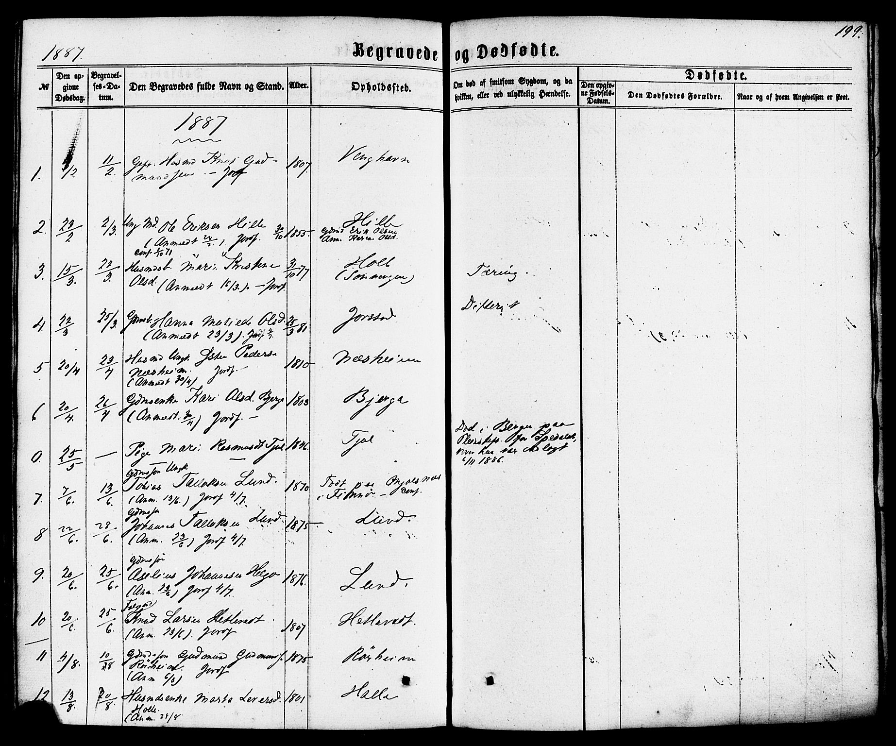 Nedstrand sokneprestkontor, SAST/A-101841/01/IV: Ministerialbok nr. A 10, 1861-1887, s. 199