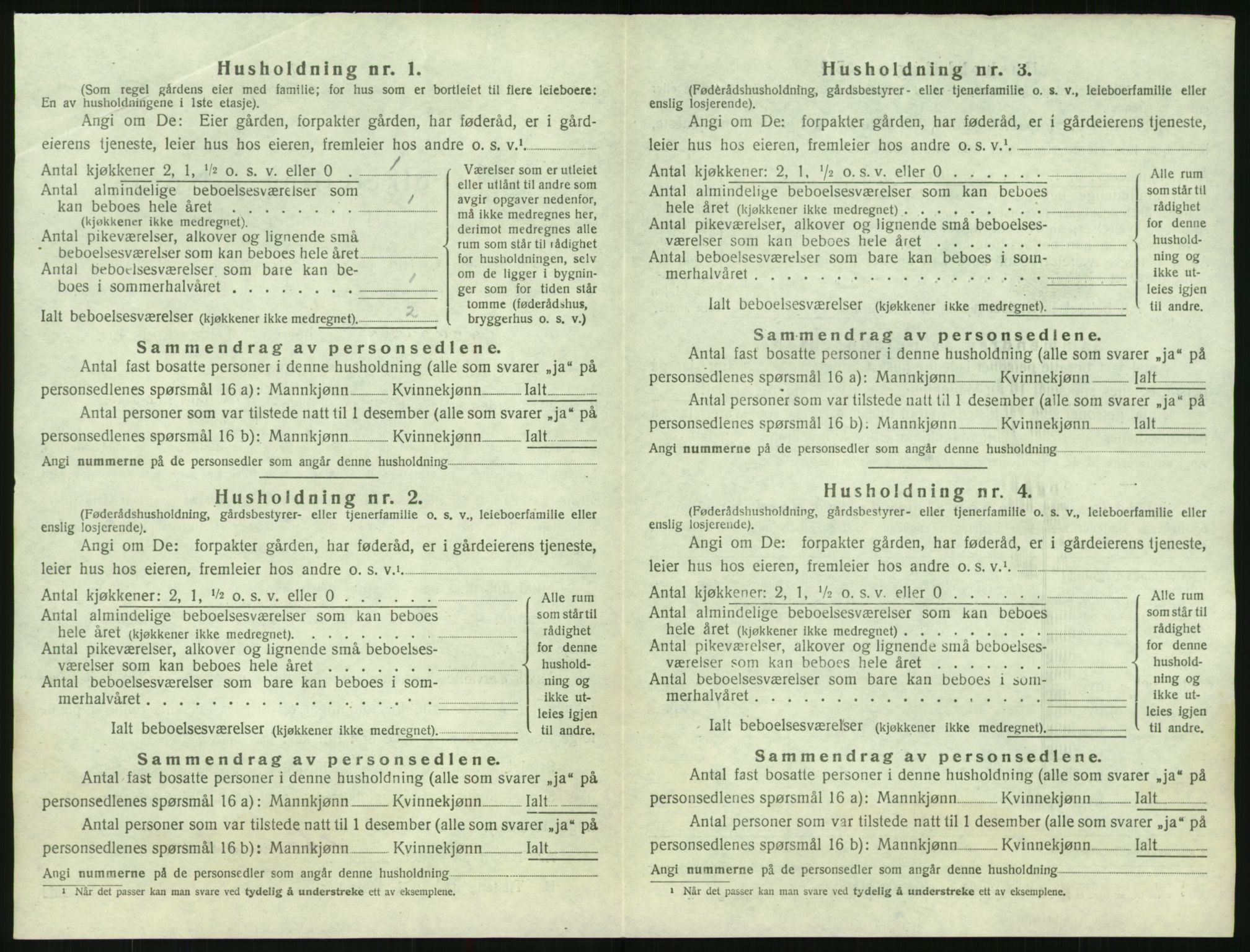 SAK, Folketelling 1920 for 0936 Hornnes herred, 1920, s. 546