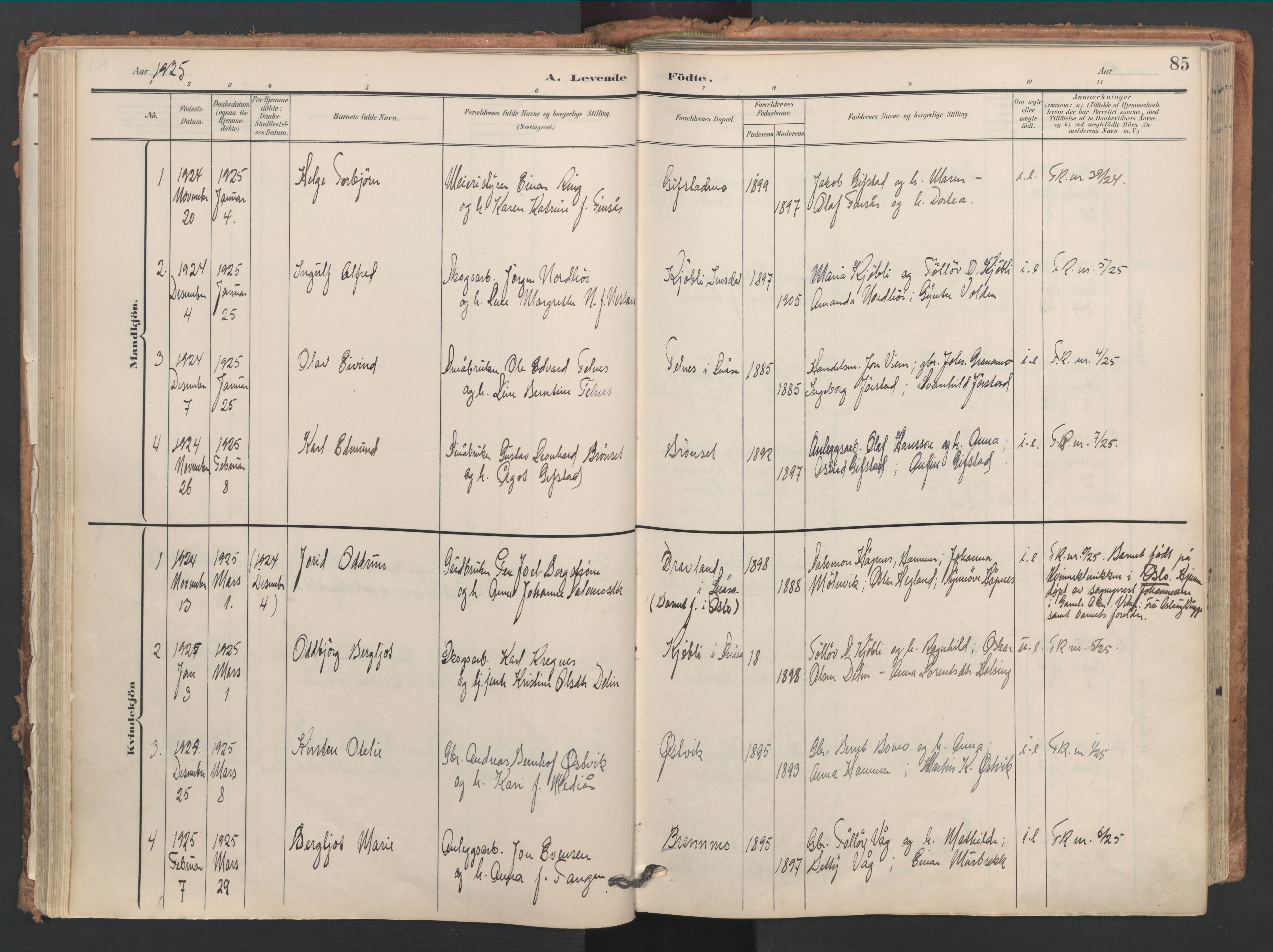 Ministerialprotokoller, klokkerbøker og fødselsregistre - Nord-Trøndelag, AV/SAT-A-1458/749/L0477: Ministerialbok nr. 749A11, 1902-1927, s. 85