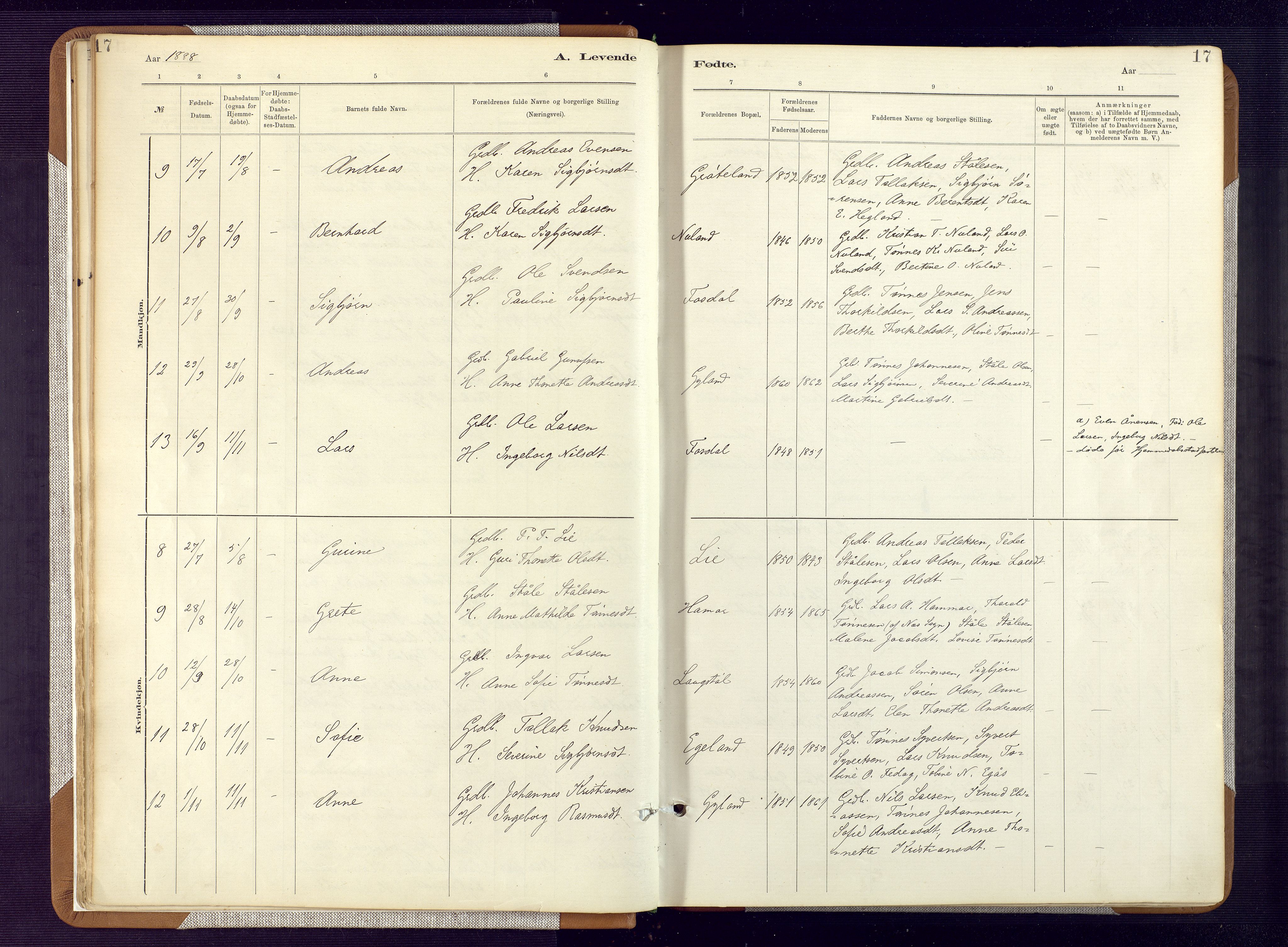 Bakke sokneprestkontor, SAK/1111-0002/F/Fa/Fab/L0003: Ministerialbok nr. A 3, 1884-1921, s. 17