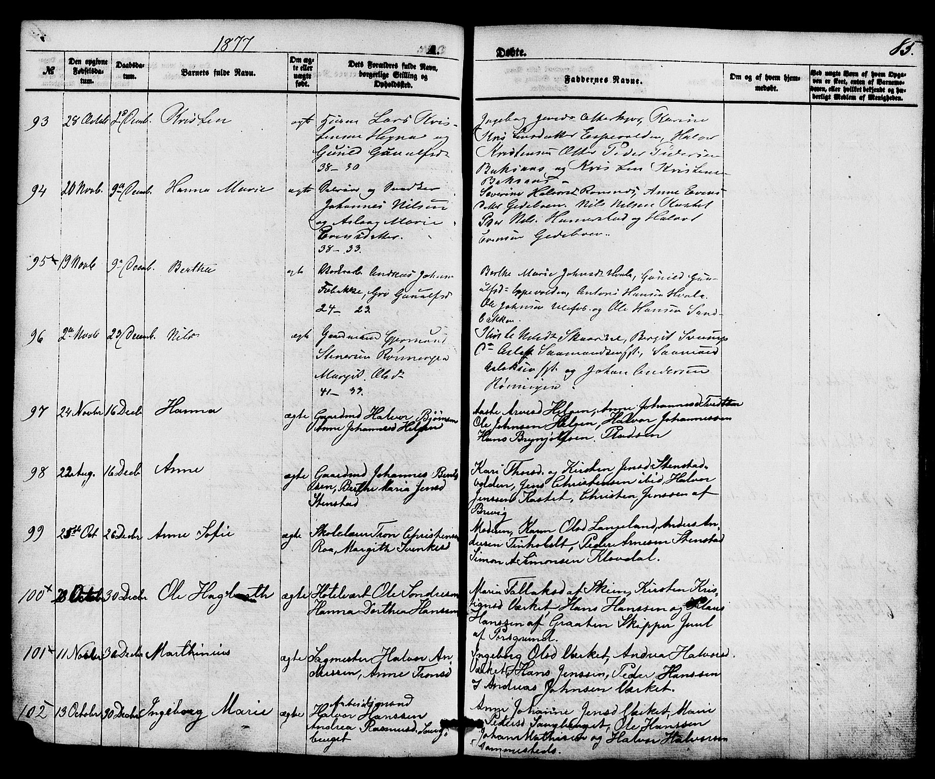 Holla kirkebøker, AV/SAKO-A-272/F/Fa/L0007: Ministerialbok nr. 7, 1869-1881, s. 85