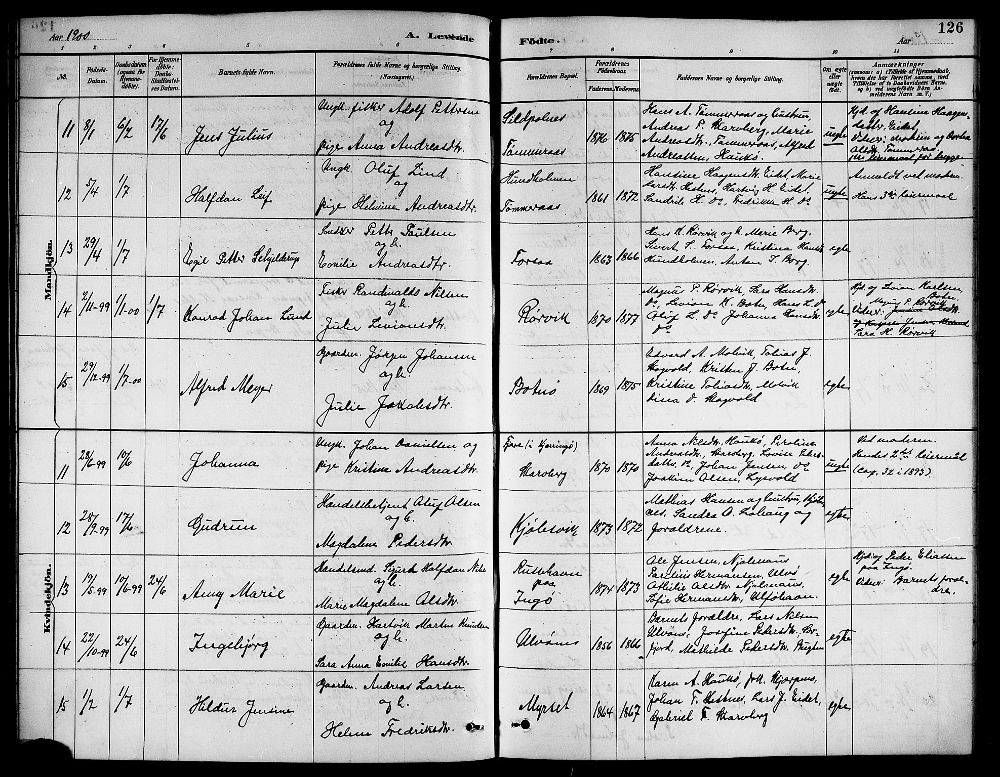 Ministerialprotokoller, klokkerbøker og fødselsregistre - Nordland, AV/SAT-A-1459/861/L0876: Klokkerbok nr. 861C02, 1887-1903, s. 126