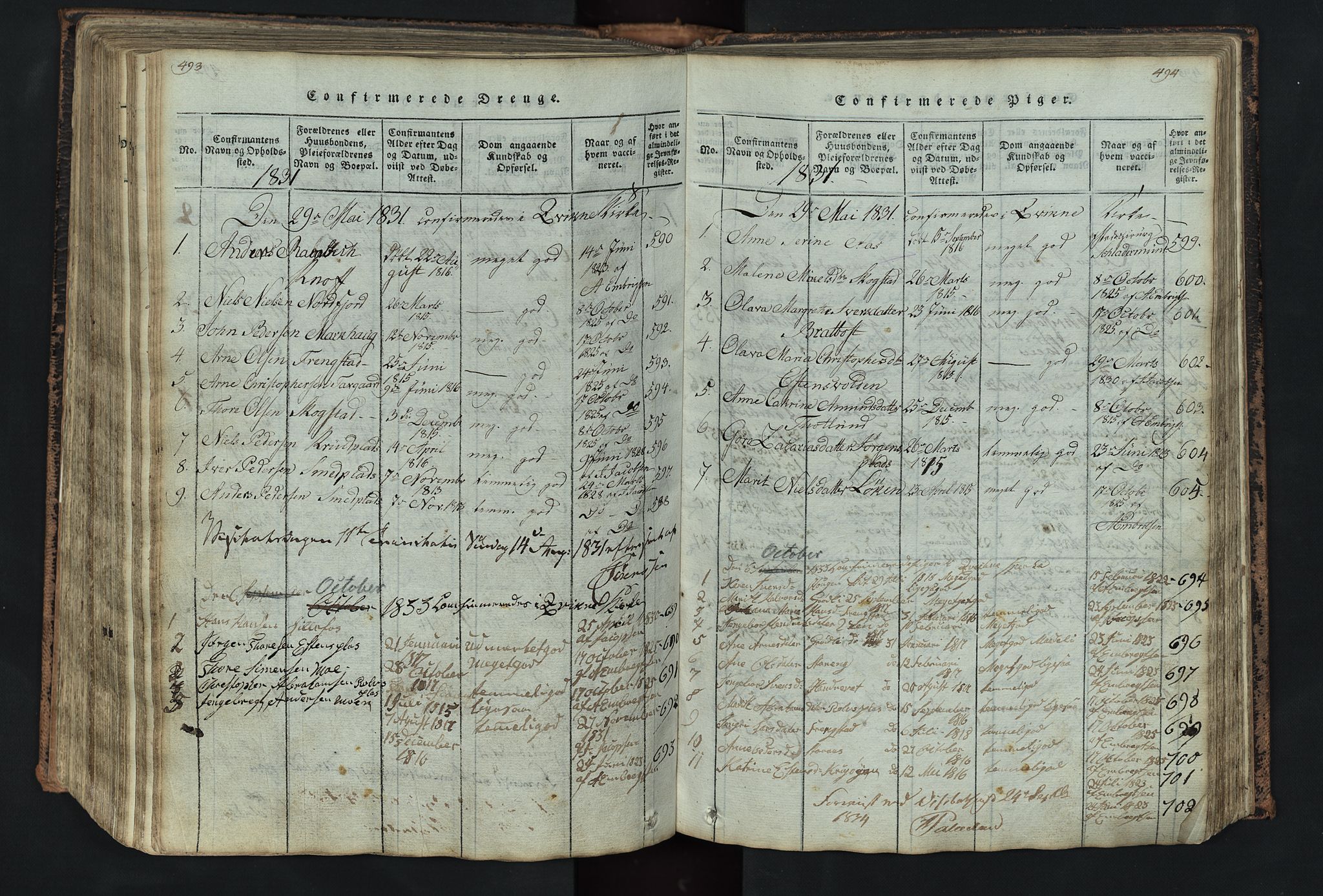 Kvikne prestekontor, AV/SAH-PREST-064/H/Ha/Hab/L0001: Klokkerbok nr. 1, 1815-1895, s. 493-494