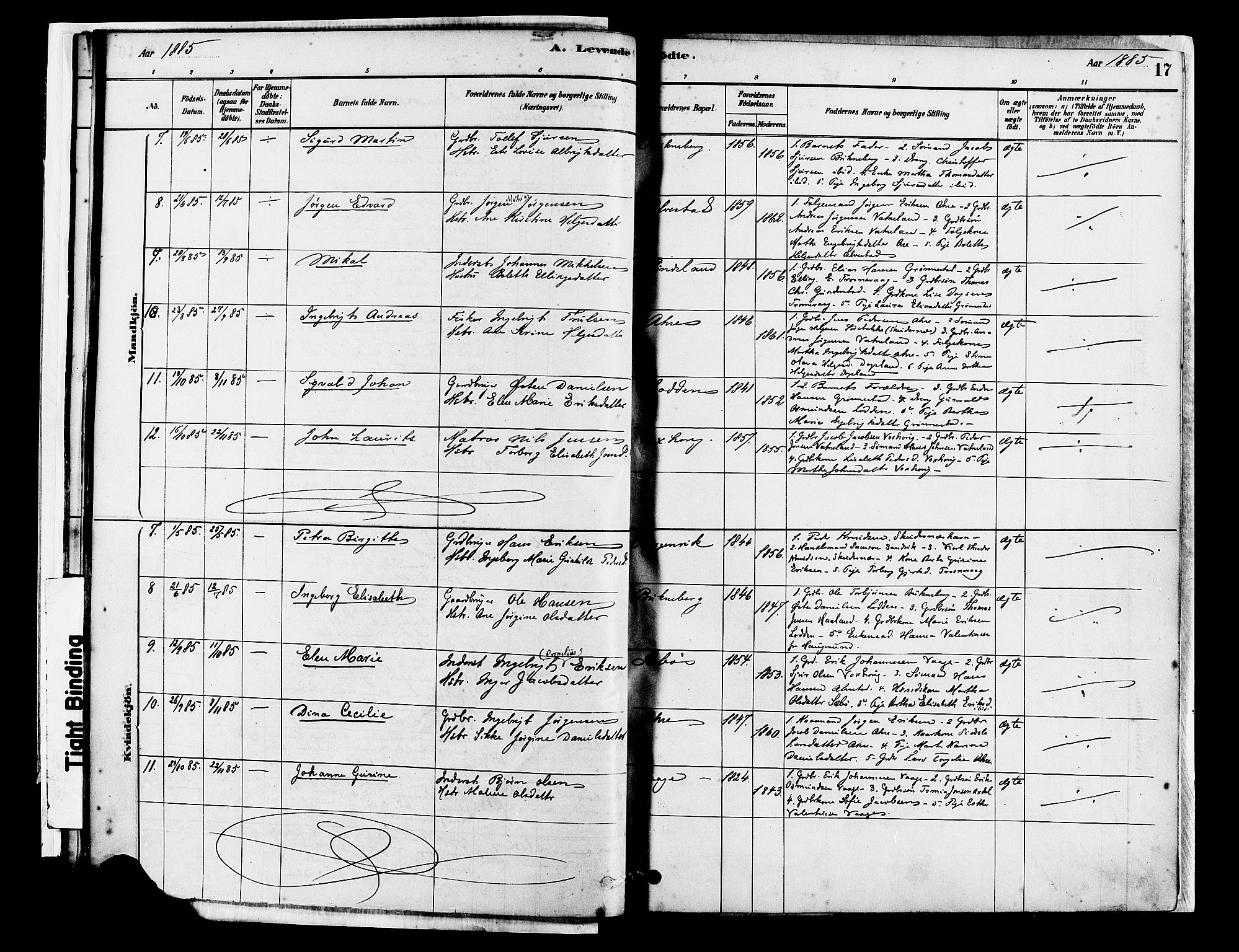 Tysvær sokneprestkontor, AV/SAST-A -101864/H/Ha/Haa/L0007: Ministerialbok nr. A 7, 1878-1897, s. 17