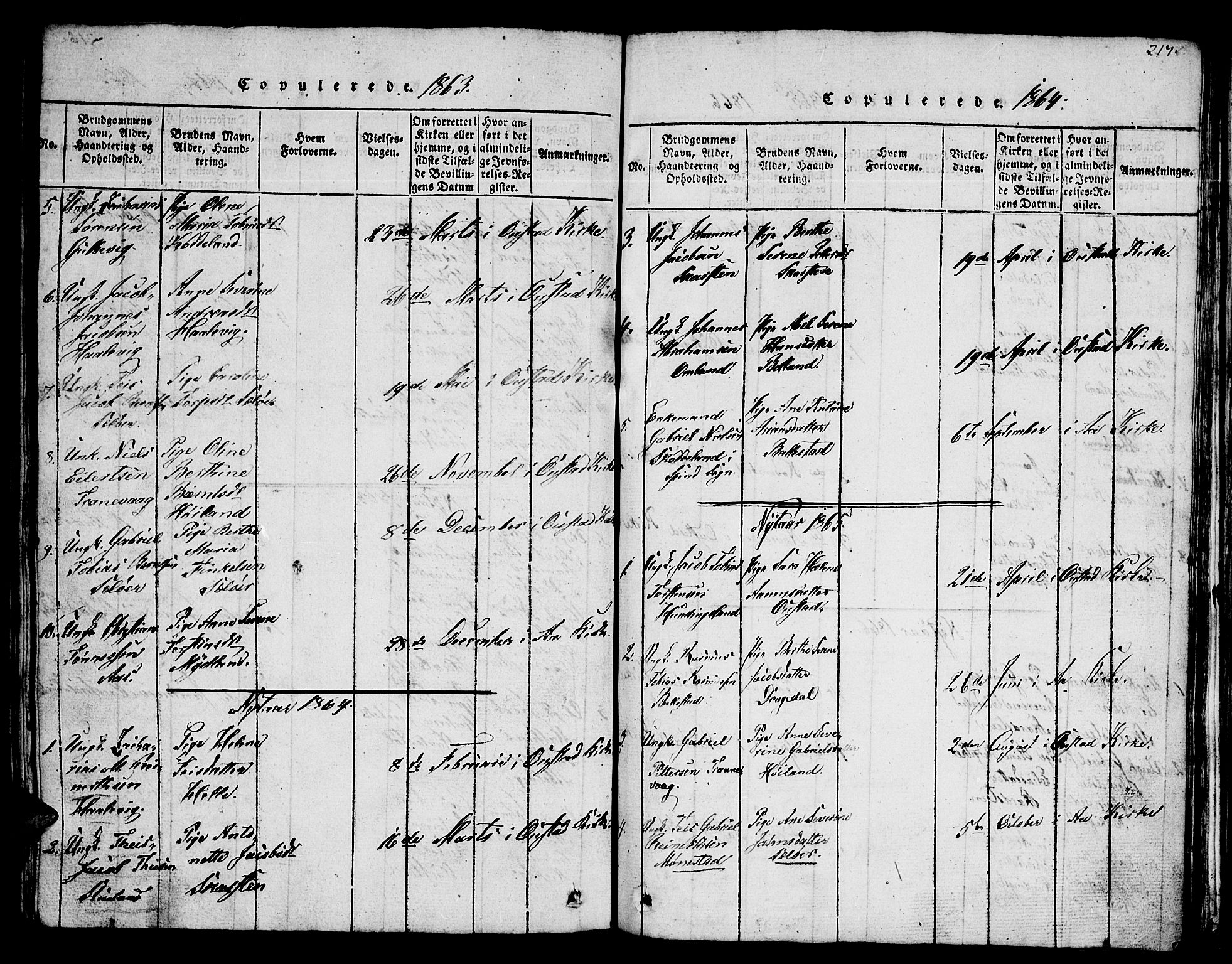 Lyngdal sokneprestkontor, AV/SAK-1111-0029/F/Fb/Fba/L0001: Klokkerbok nr. B 1, 1816-1876, s. 217