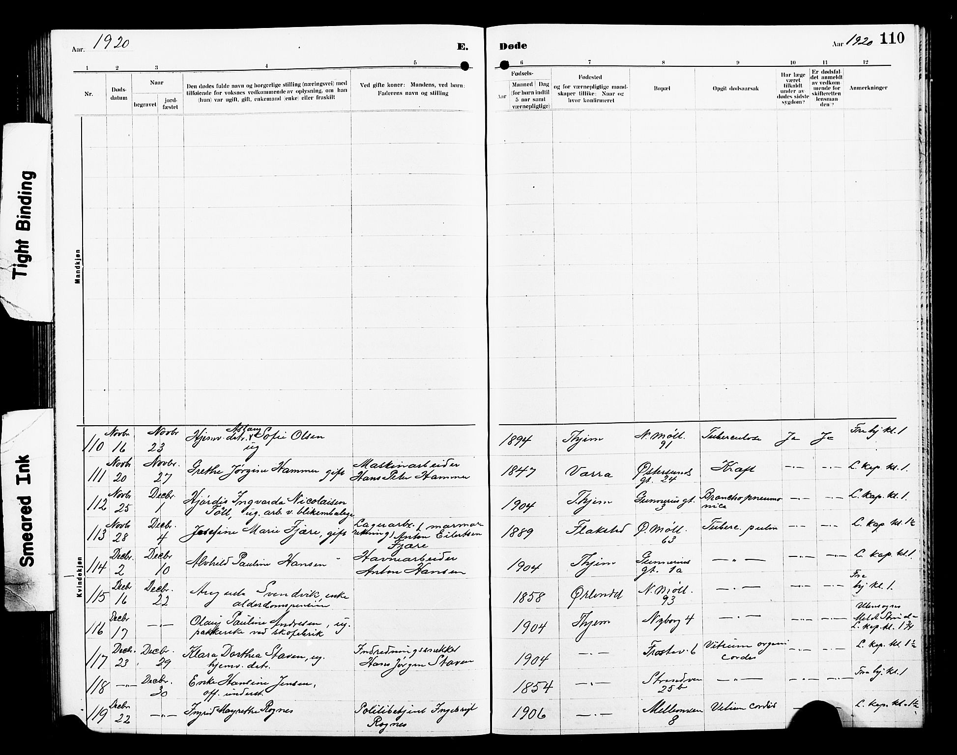 Ministerialprotokoller, klokkerbøker og fødselsregistre - Sør-Trøndelag, SAT/A-1456/605/L0257: Klokkerbok nr. 605C04, 1916-1922, s. 110
