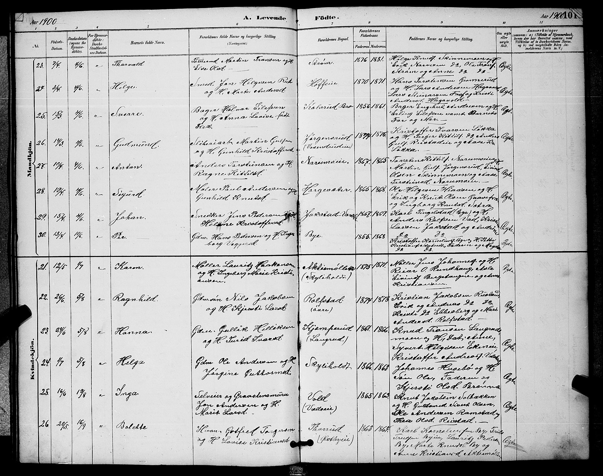 Sigdal kirkebøker, AV/SAKO-A-245/G/Ga/L0005: Klokkerbok nr. I 5, 1886-1900, s. 101