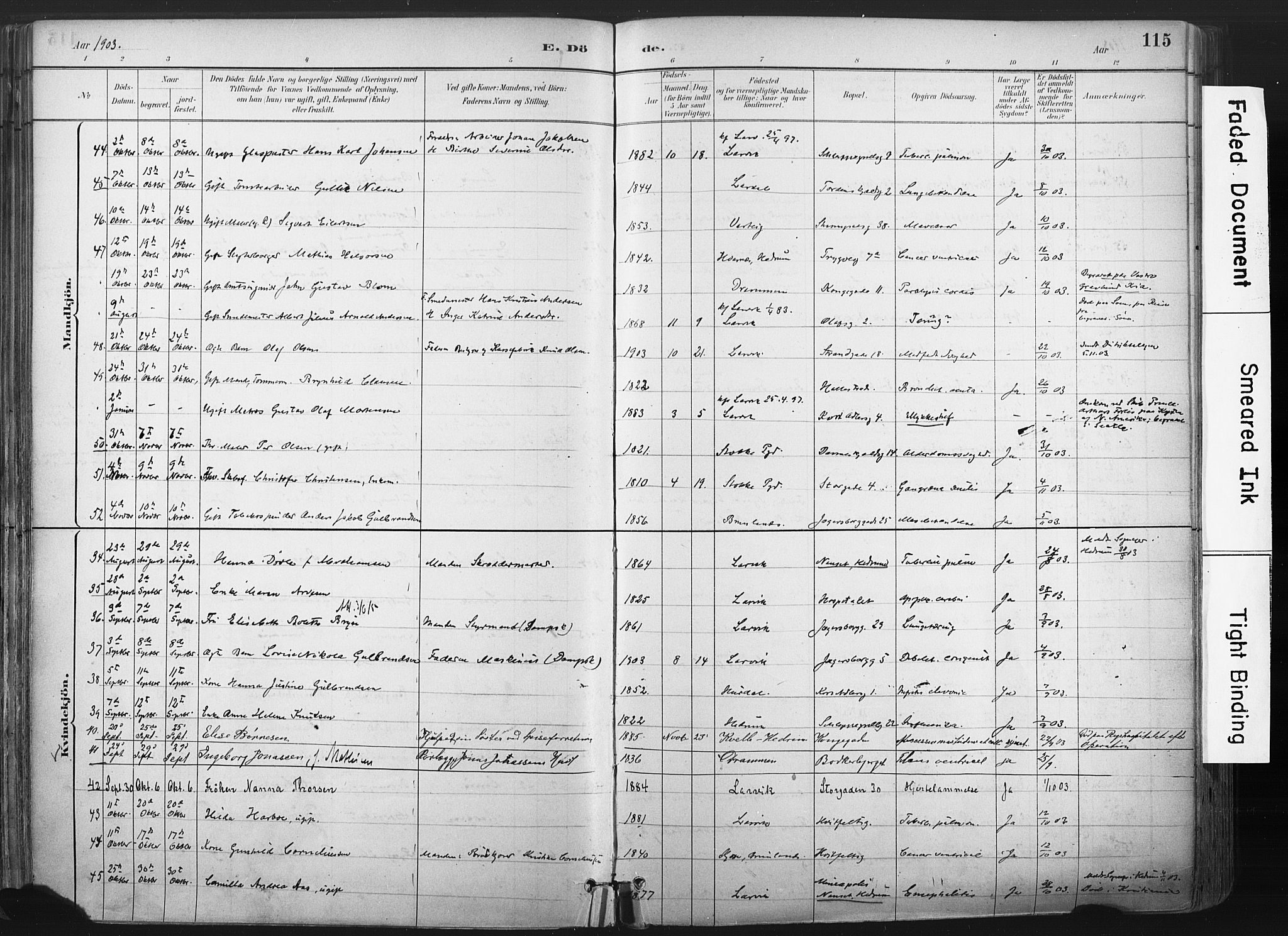 Larvik kirkebøker, AV/SAKO-A-352/F/Fa/L0010: Ministerialbok nr. I 10, 1884-1910, s. 115