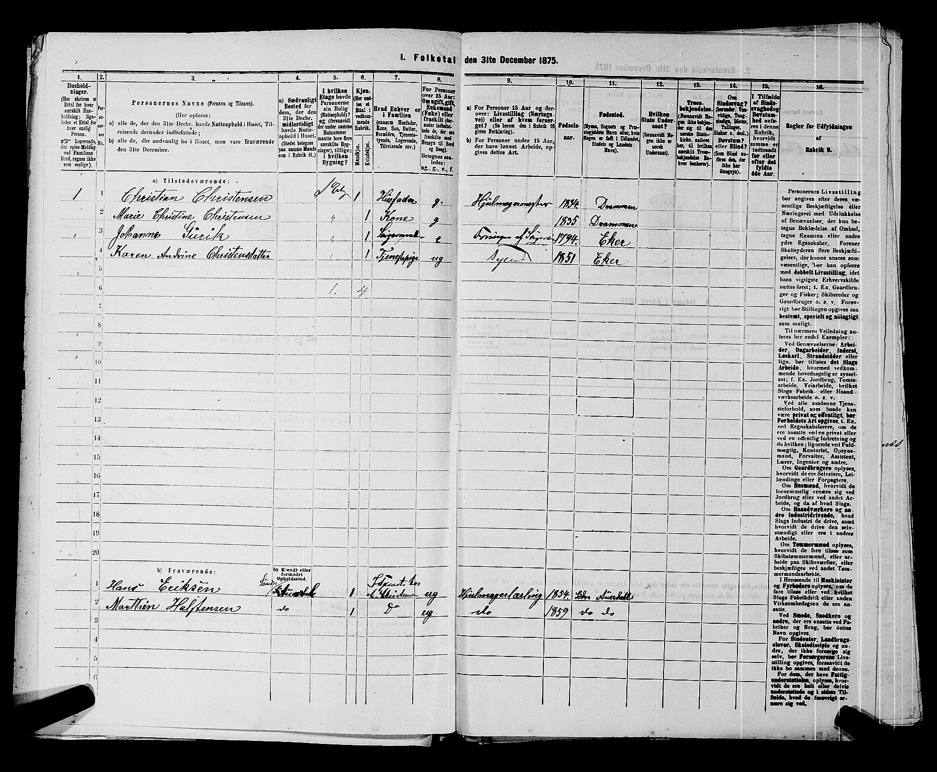 SAKO, Folketelling 1875 for 0602 Drammen kjøpstad, 1875, s. 196