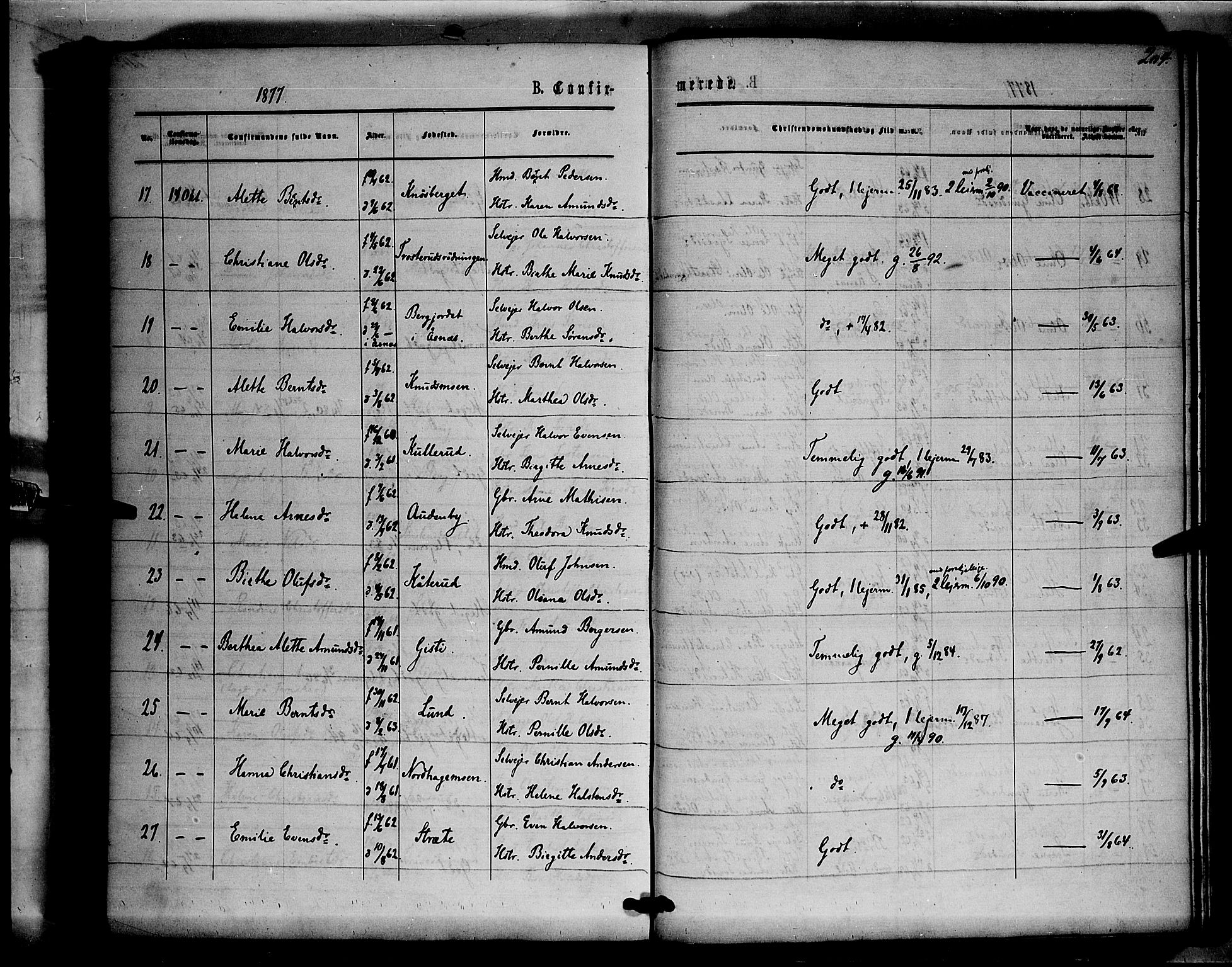Våler prestekontor, Hedmark, AV/SAH-PREST-040/H/Ha/Haa/L0002: Ministerialbok nr. 2, 1867-1878, s. 204