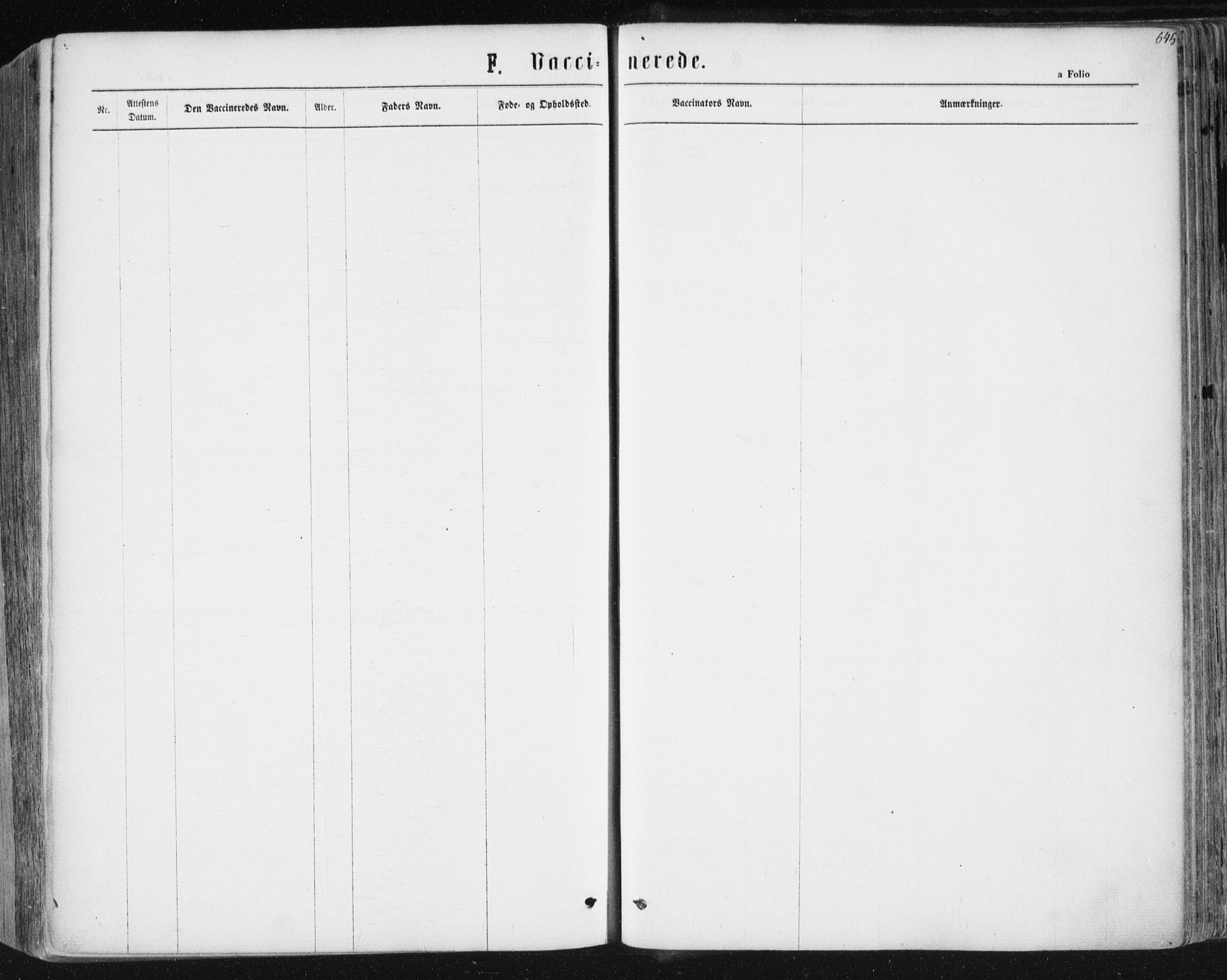 Ministerialprotokoller, klokkerbøker og fødselsregistre - Sør-Trøndelag, AV/SAT-A-1456/604/L0186: Ministerialbok nr. 604A07, 1866-1877, s. 645
