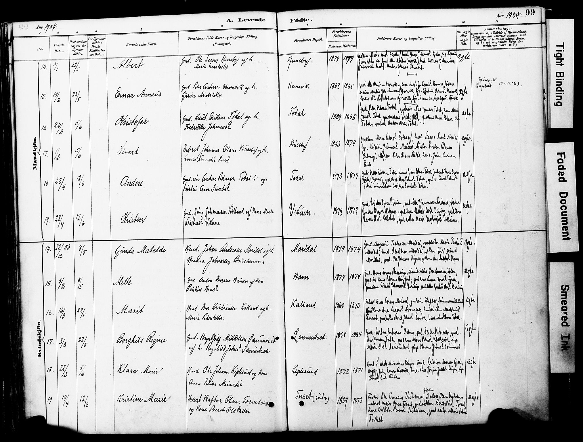 Ministerialprotokoller, klokkerbøker og fødselsregistre - Møre og Romsdal, AV/SAT-A-1454/578/L0907: Ministerialbok nr. 578A06, 1887-1904, s. 99