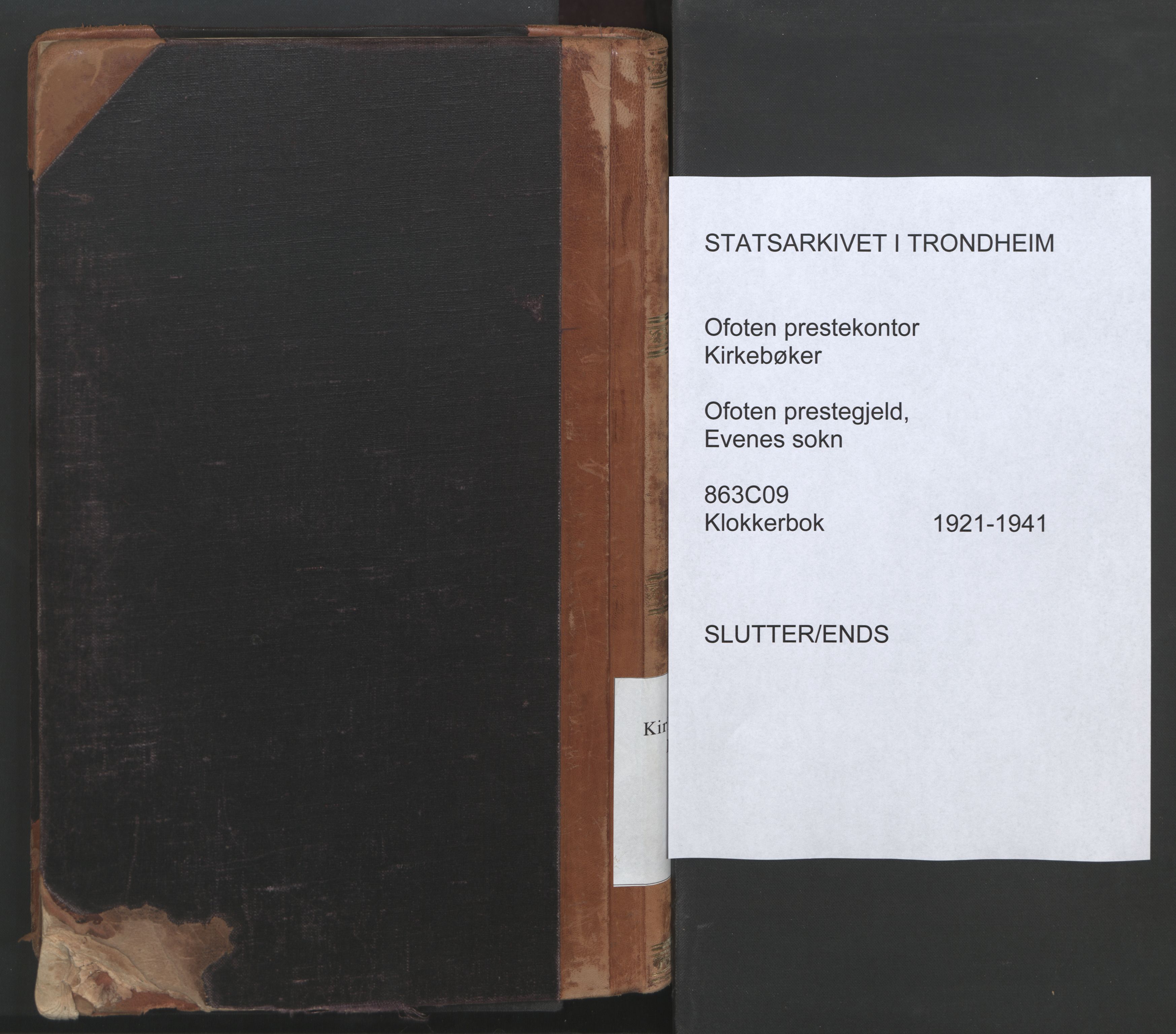 Ministerialprotokoller, klokkerbøker og fødselsregistre - Nordland, AV/SAT-A-1459/863/L0919: Klokkerbok nr. 863C09, 1921-1941