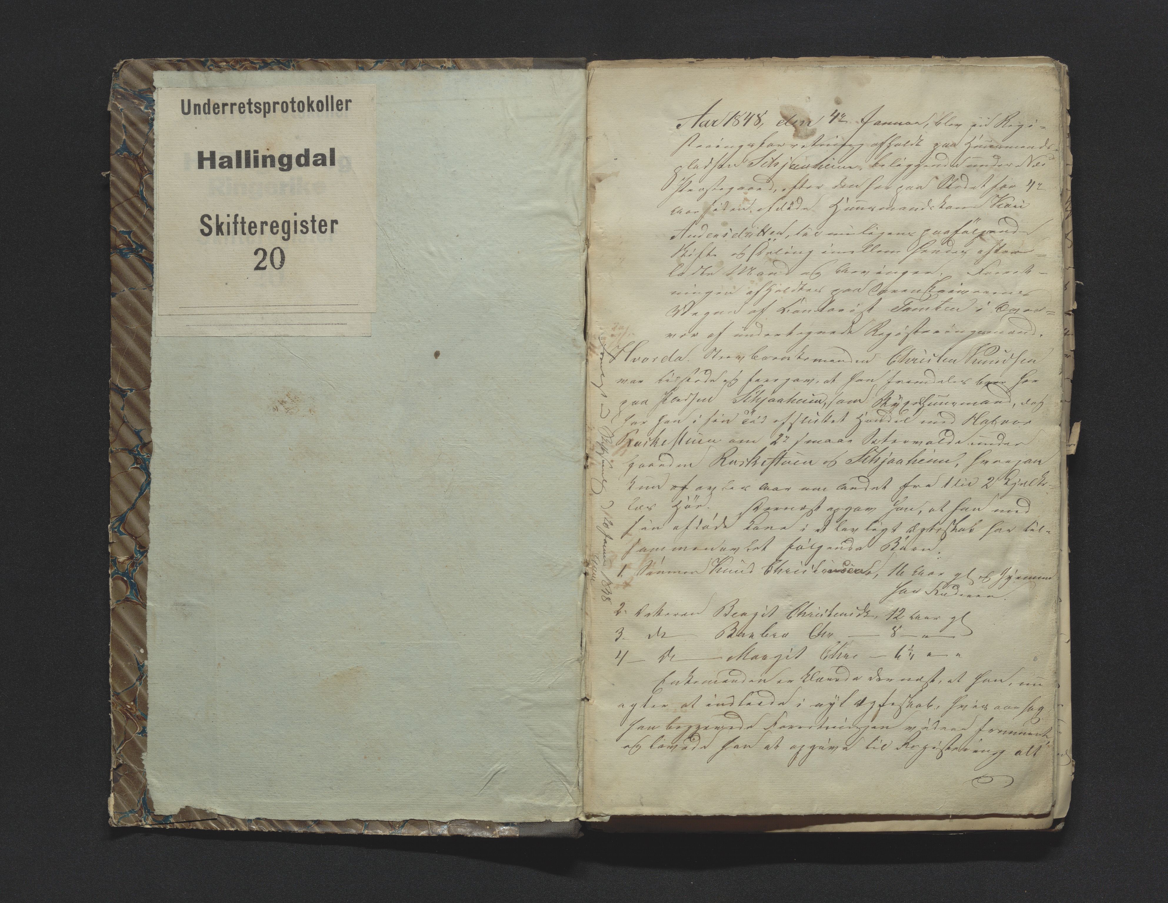 Hallingdal sorenskriveri, AV/SAKO-A-121/H/Hb/Hbb/Hbba/L0020: Skifteregistreringsprotokoll, Sorenskriveriet, 1848