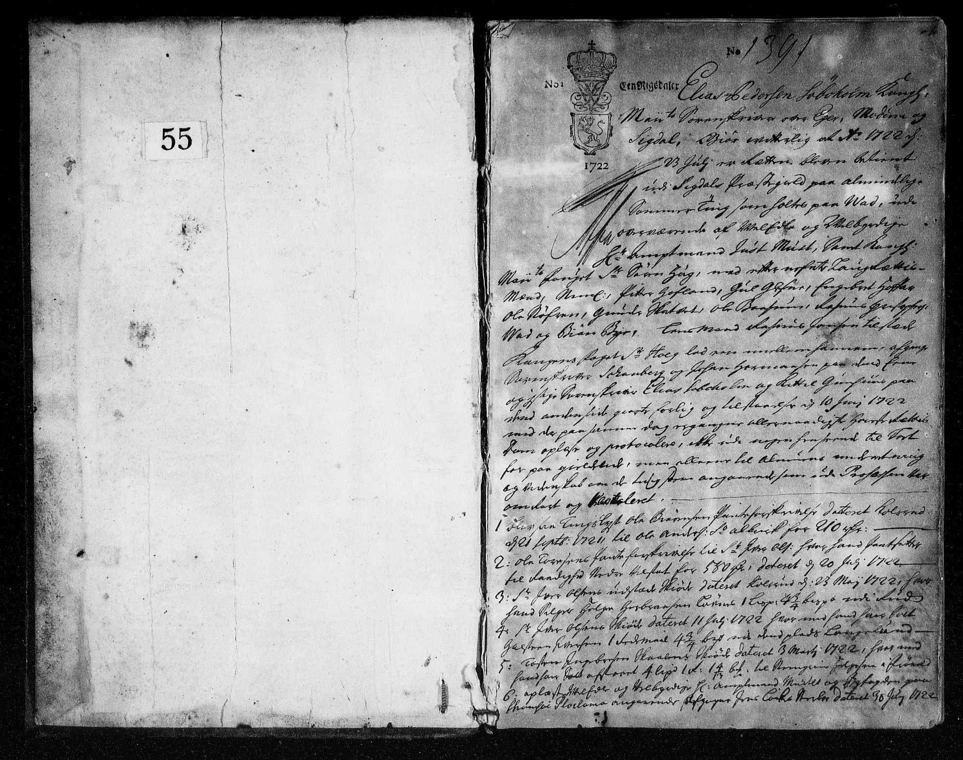 Eiker, Modum og Sigdal sorenskriveri, SAKO/A-123/F/Fa/Faa/L0064: Tingbok, 1722-1724, s. 1