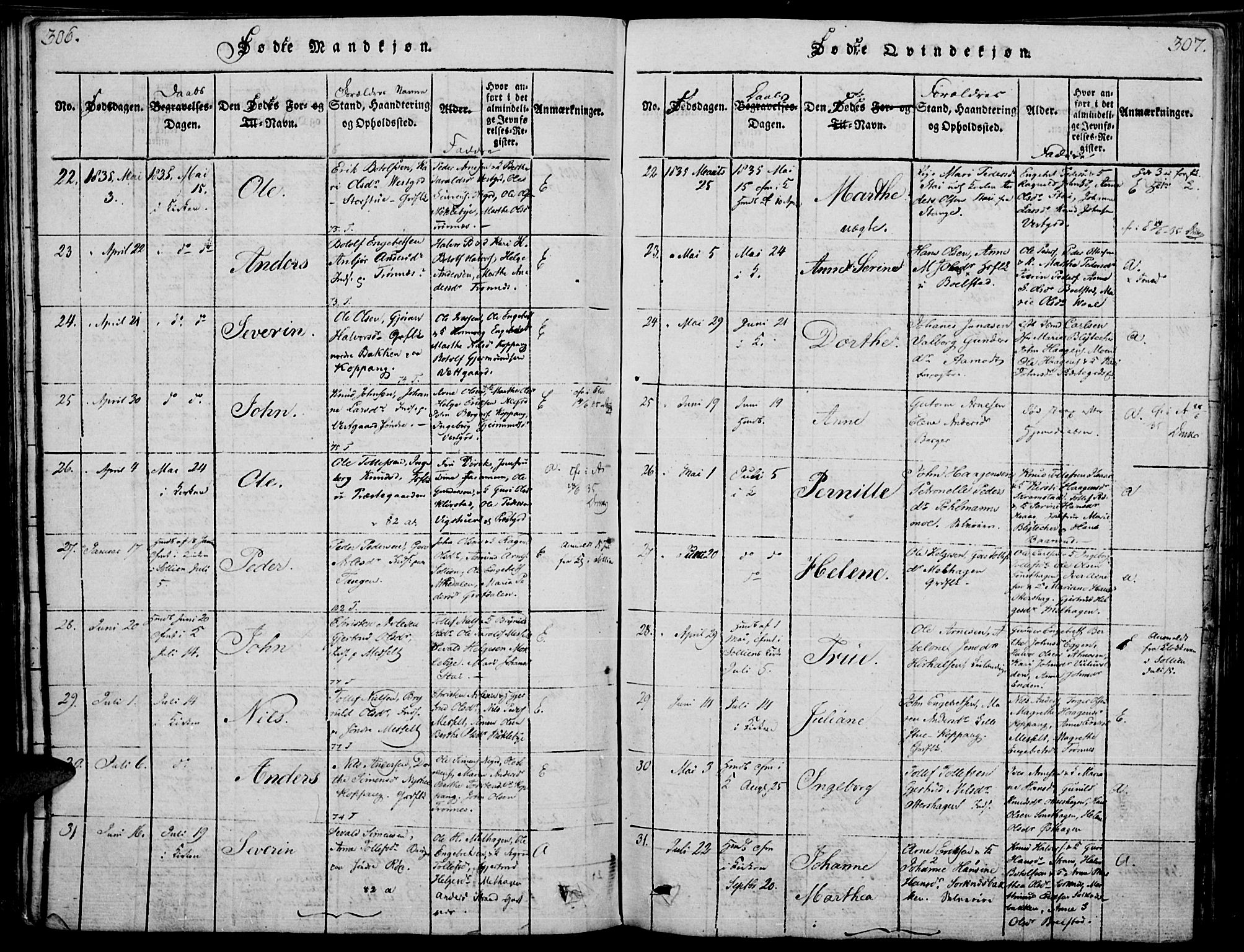 Åmot prestekontor, Hedmark, AV/SAH-PREST-056/H/Ha/Haa/L0005: Ministerialbok nr. 5, 1815-1841, s. 306-307