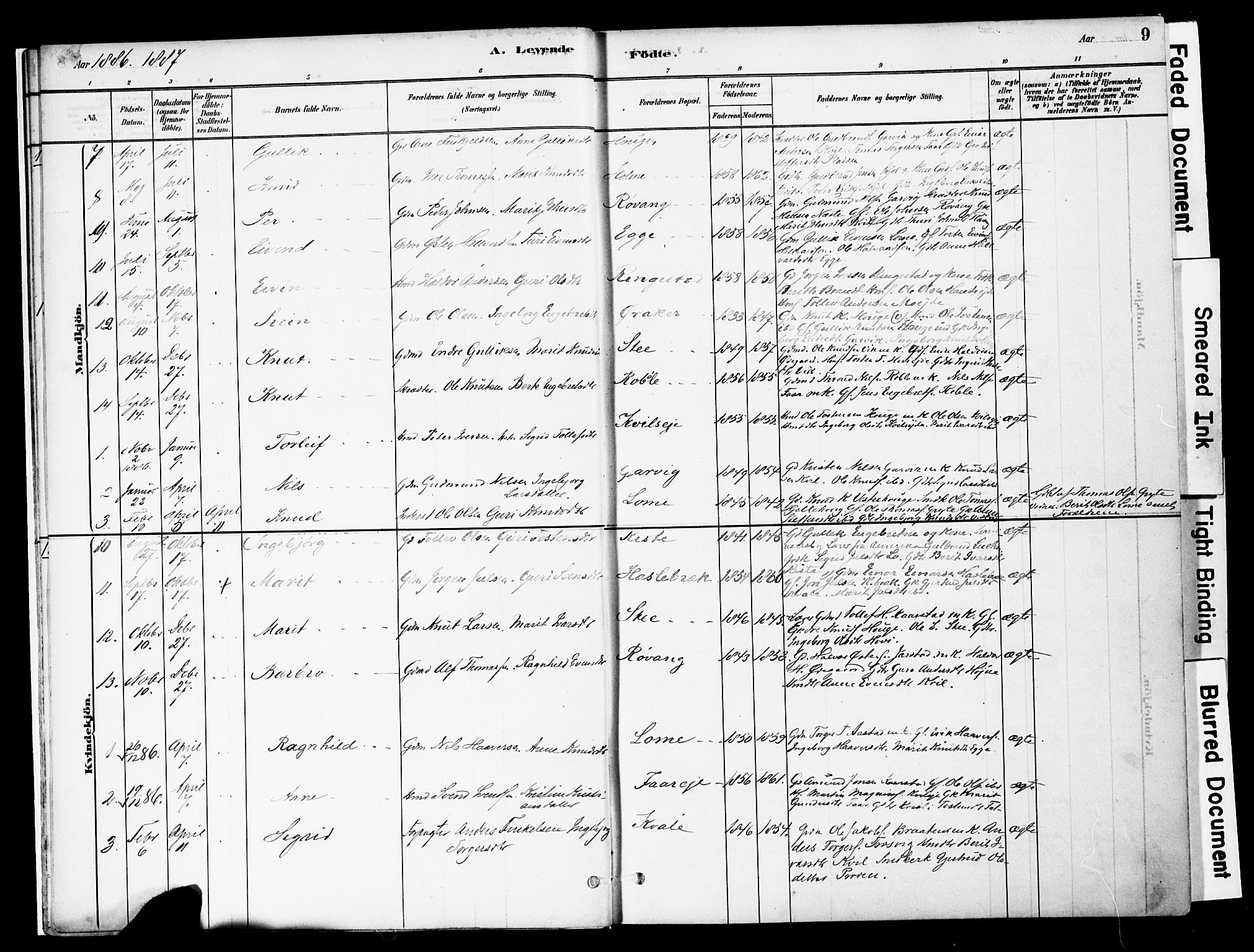Vestre Slidre prestekontor, AV/SAH-PREST-136/H/Ha/Haa/L0005: Ministerialbok nr. 5, 1881-1912, s. 9