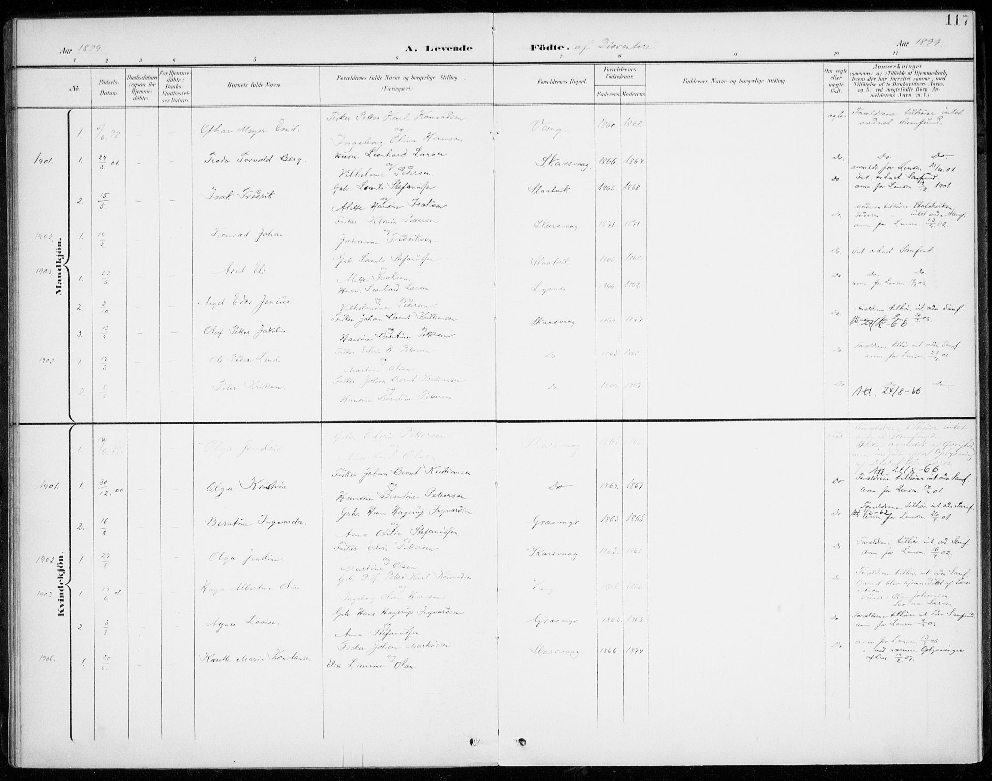 Lenvik sokneprestembete, SATØ/S-1310/H/Ha/Haa/L0014kirke: Ministerialbok nr. 14, 1899-1909, s. 117