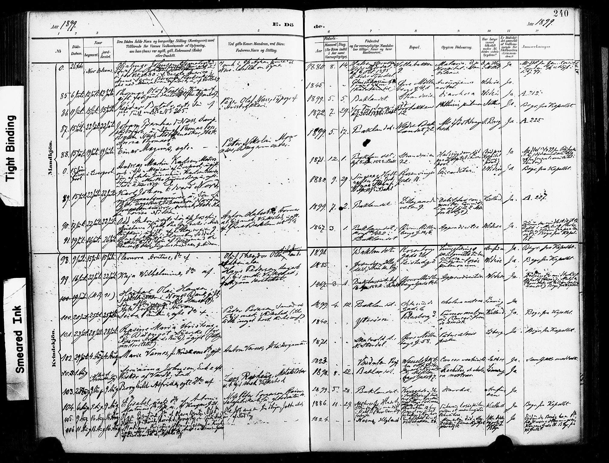 Ministerialprotokoller, klokkerbøker og fødselsregistre - Sør-Trøndelag, SAT/A-1456/604/L0198: Ministerialbok nr. 604A19, 1893-1900, s. 240