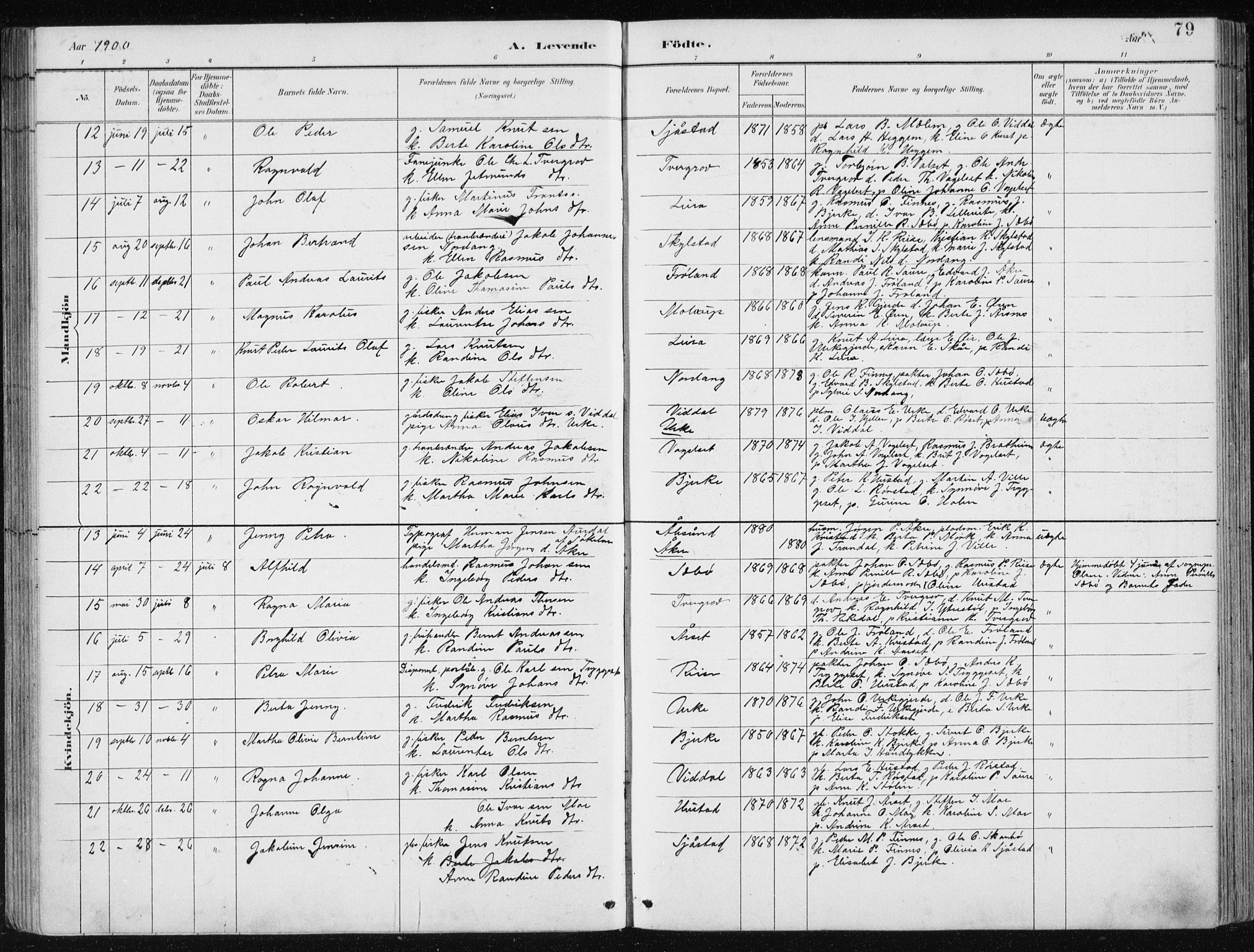 Ministerialprotokoller, klokkerbøker og fødselsregistre - Møre og Romsdal, AV/SAT-A-1454/515/L0215: Klokkerbok nr. 515C02, 1884-1906, s. 79