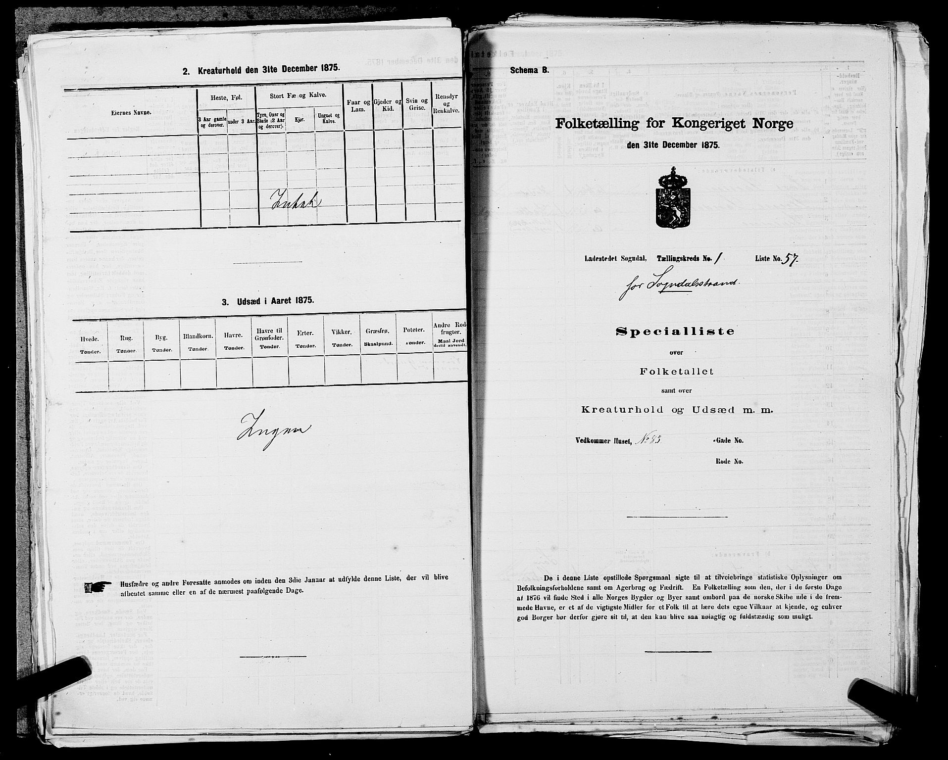 SAST, Folketelling 1875 for 1107B Sokndal prestegjeld, Sokndal ladested, 1875, s. 117