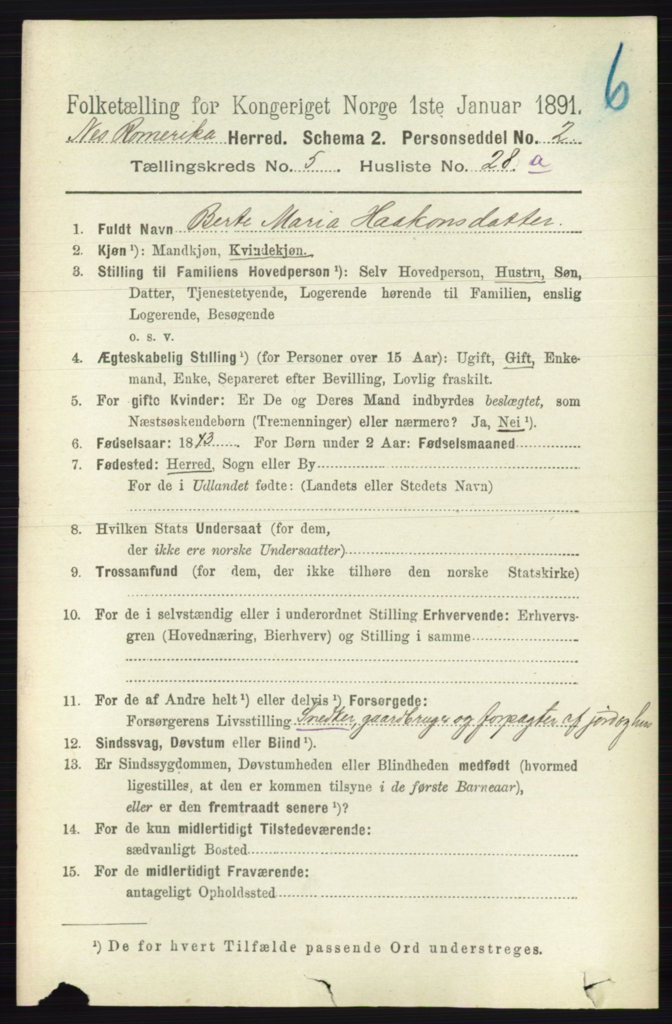 RA, Folketelling 1891 for 0236 Nes herred, 1891, s. 2949