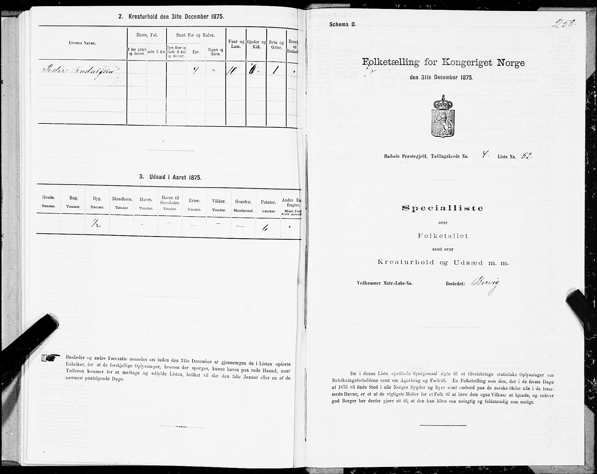 SAT, Folketelling 1875 for 1866P Hadsel prestegjeld, 1875, s. 2258