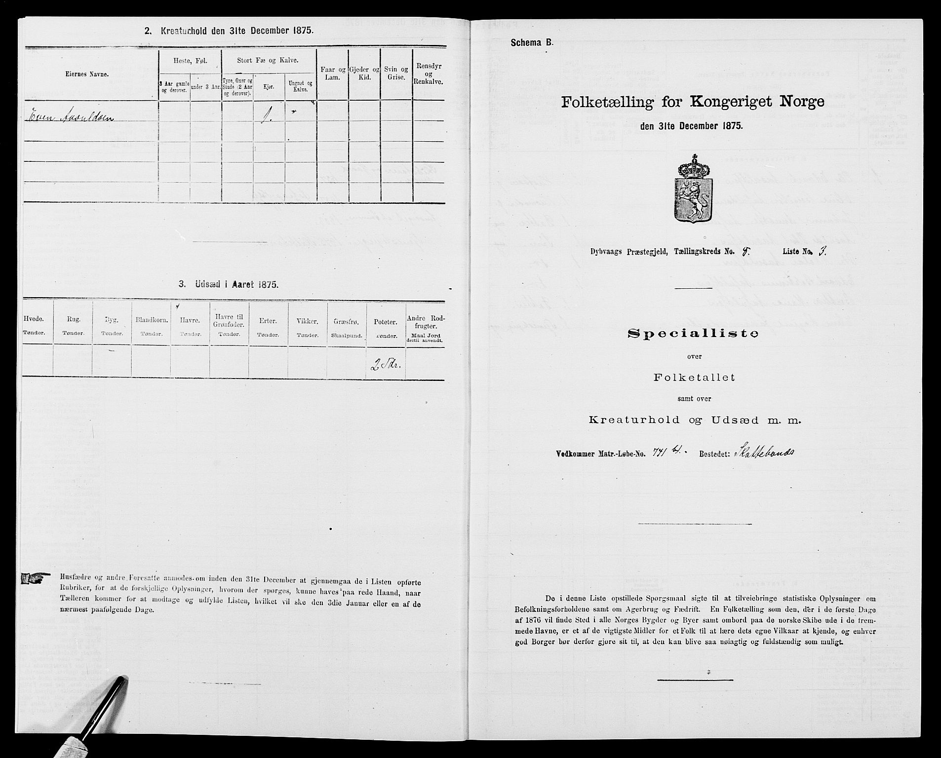 SAK, Folketelling 1875 for 0915P Dypvåg prestegjeld, 1875, s. 926