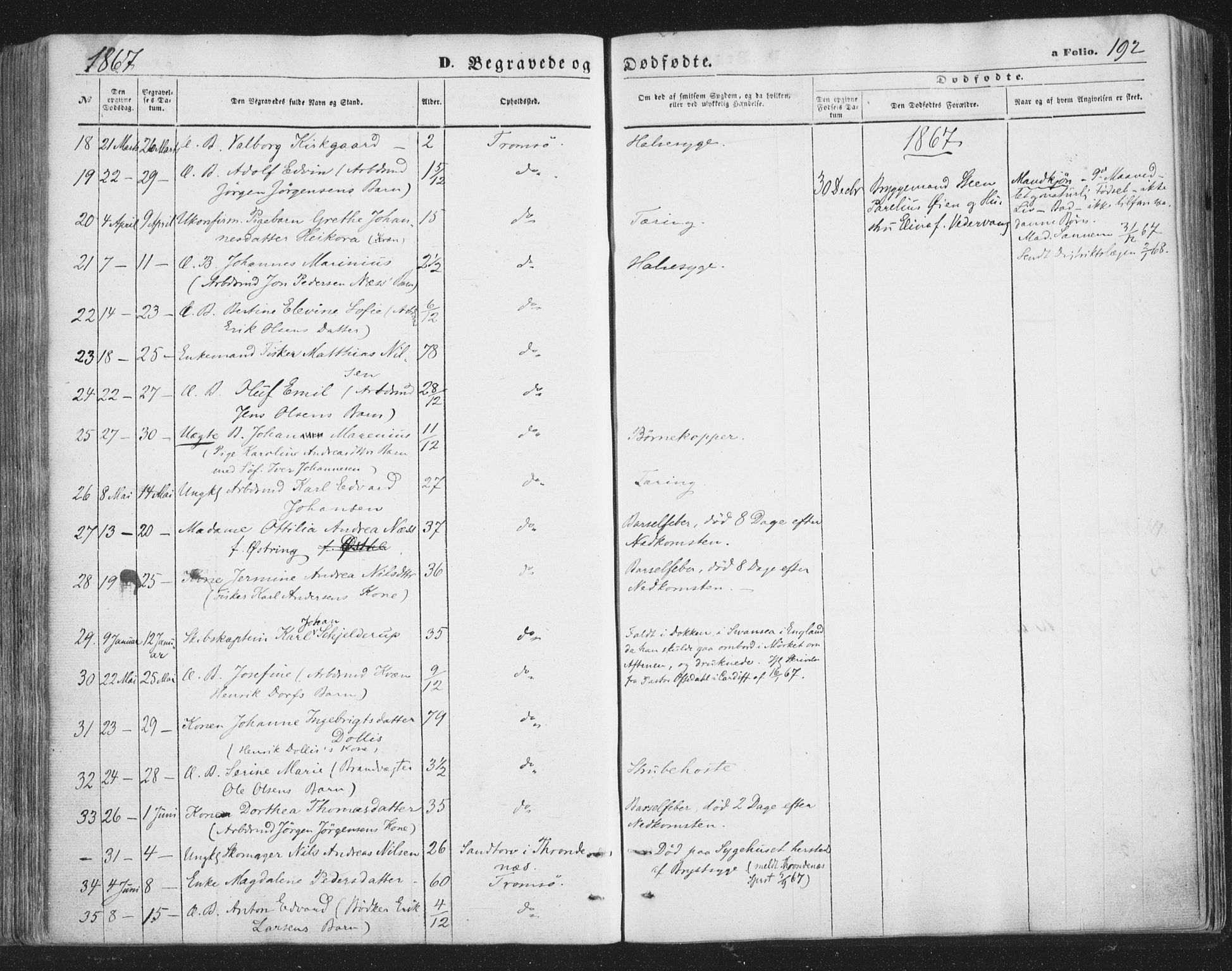 Tromsø sokneprestkontor/stiftsprosti/domprosti, AV/SATØ-S-1343/G/Ga/L0012kirke: Ministerialbok nr. 12, 1865-1871, s. 192