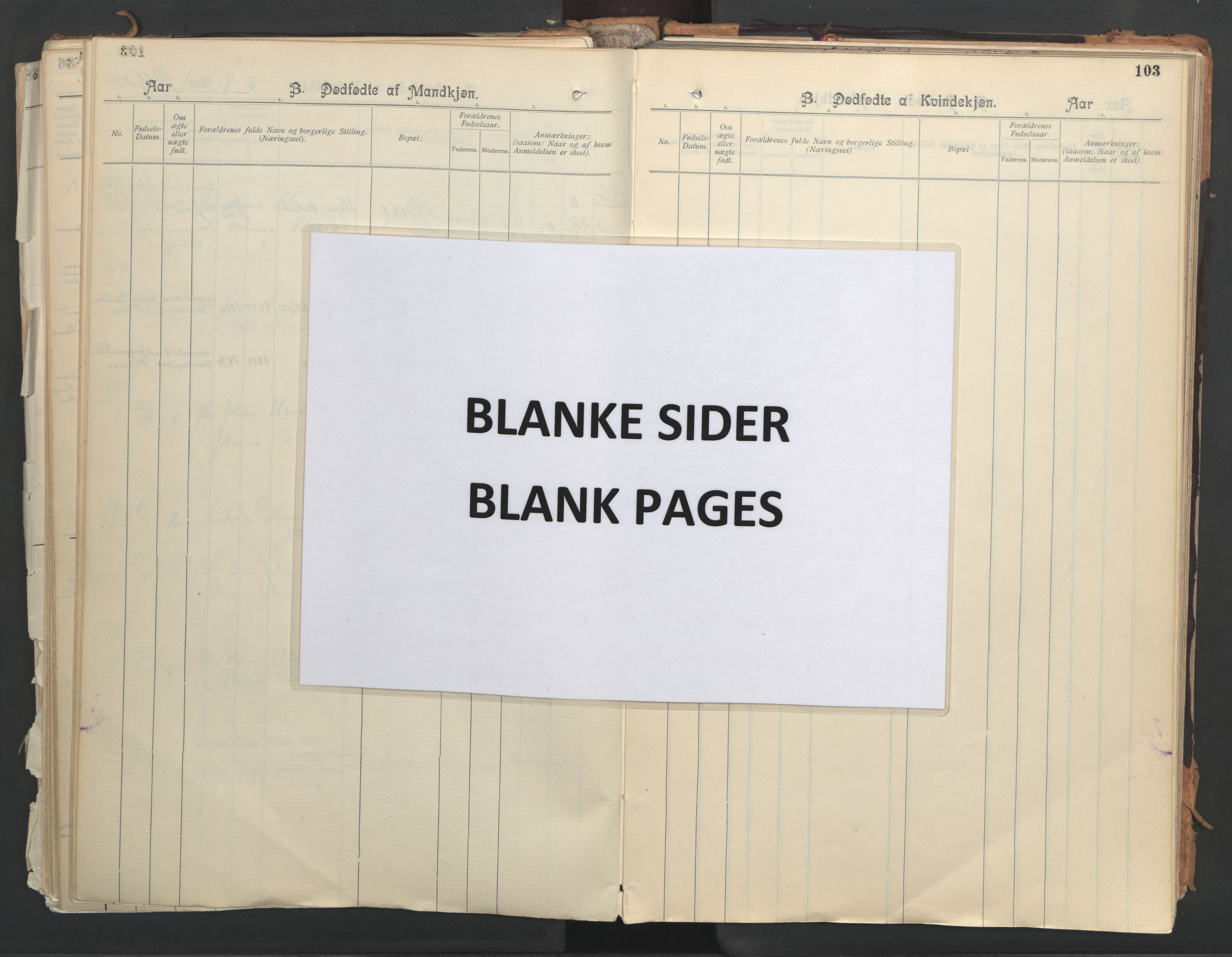 Ministerialprotokoller, klokkerbøker og fødselsregistre - Nordland, AV/SAT-A-1459/851/L0724: Ministerialbok nr. 851A01, 1901-1922, s. 103