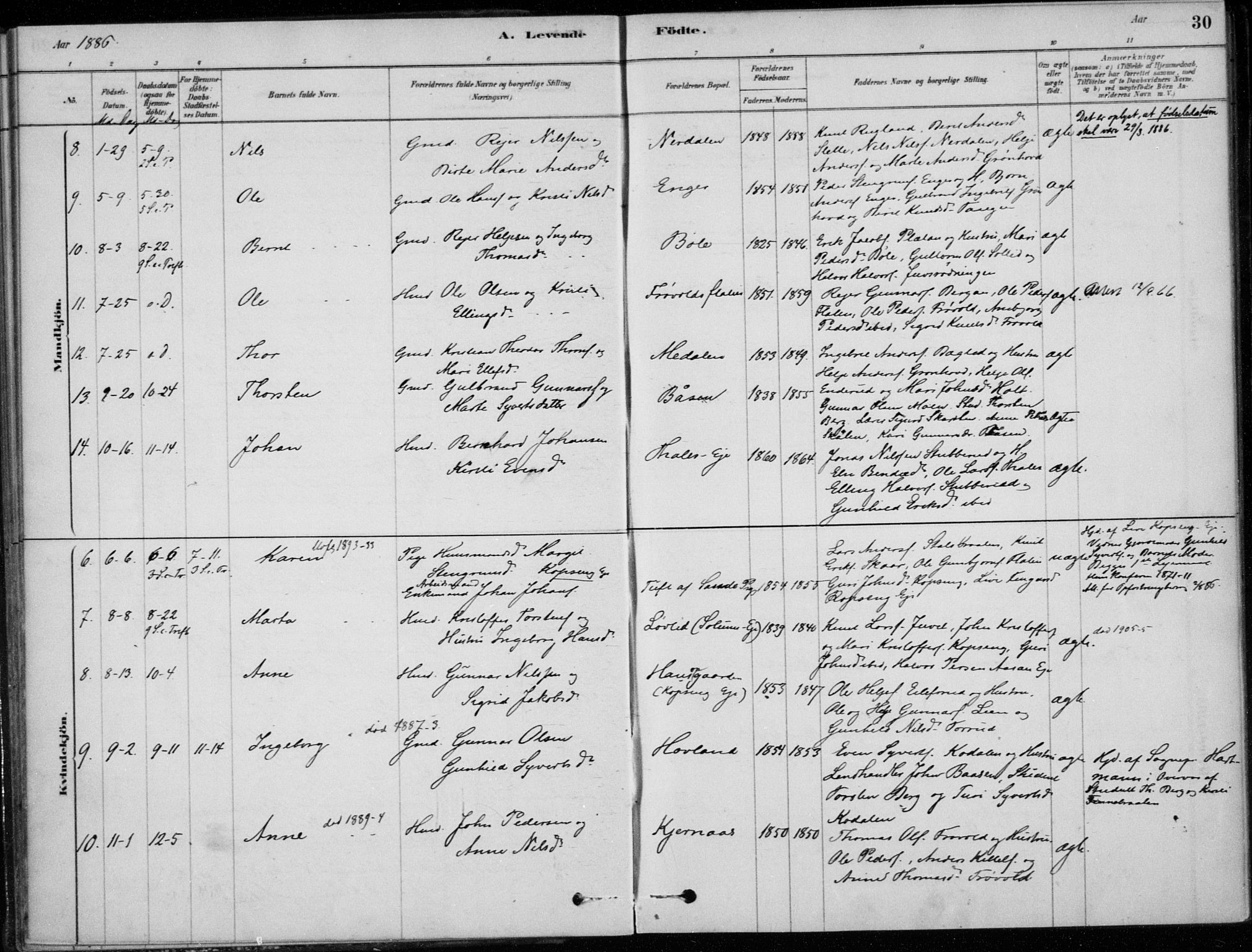 Sigdal kirkebøker, AV/SAKO-A-245/F/Fc/L0001: Ministerialbok nr. III 1, 1879-1893, s. 30