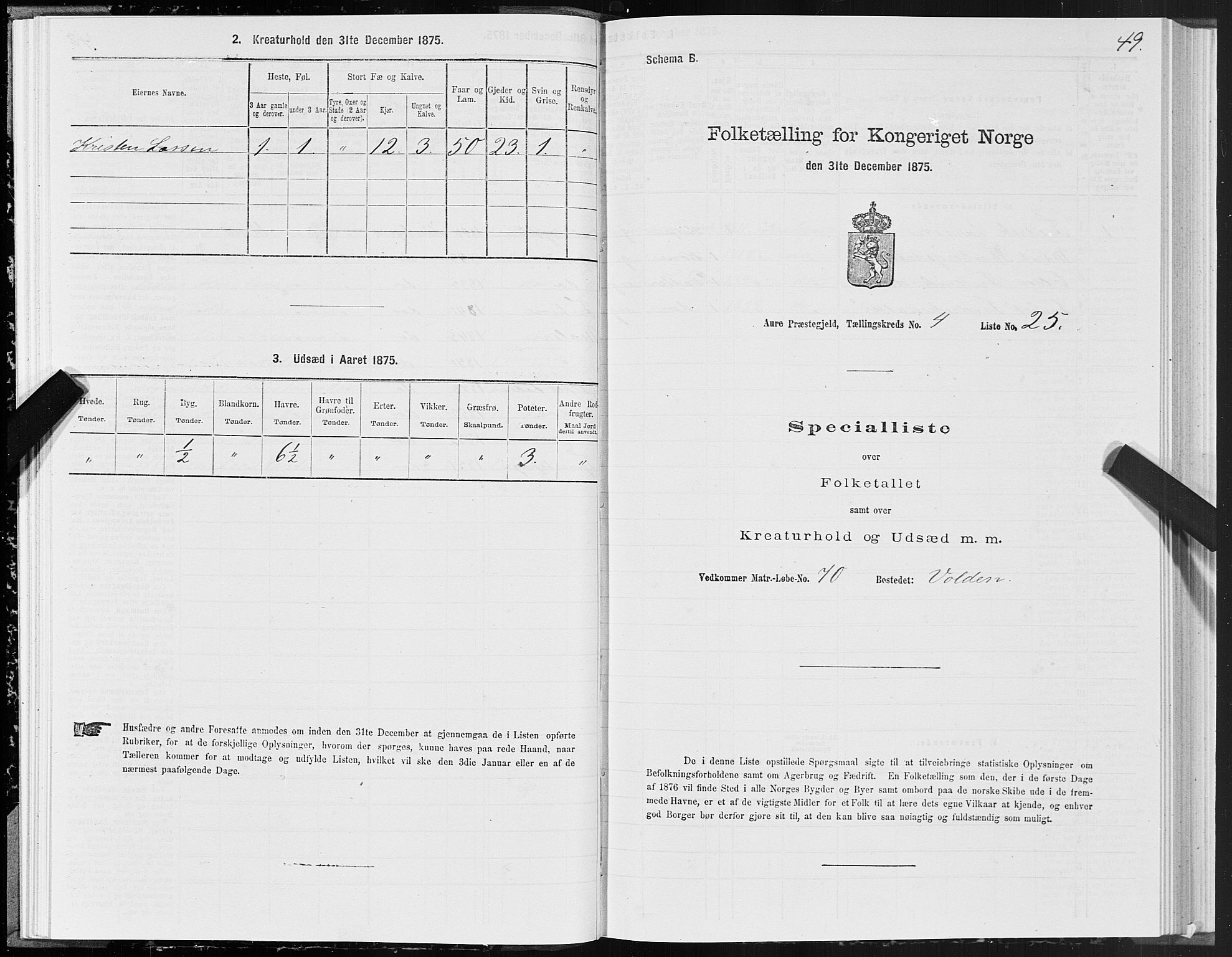 SAT, Folketelling 1875 for 1569P Aure prestegjeld, 1875, s. 4049